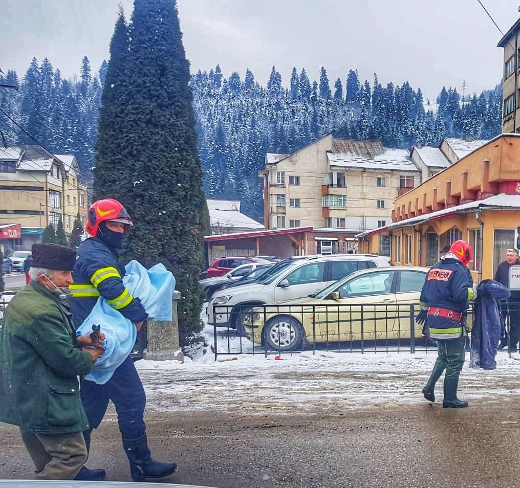 VIDEO | O căprioară blocată într-un sloi de gheață și un câine căzut în Târnava Mare, salvați de pompierii din Alba