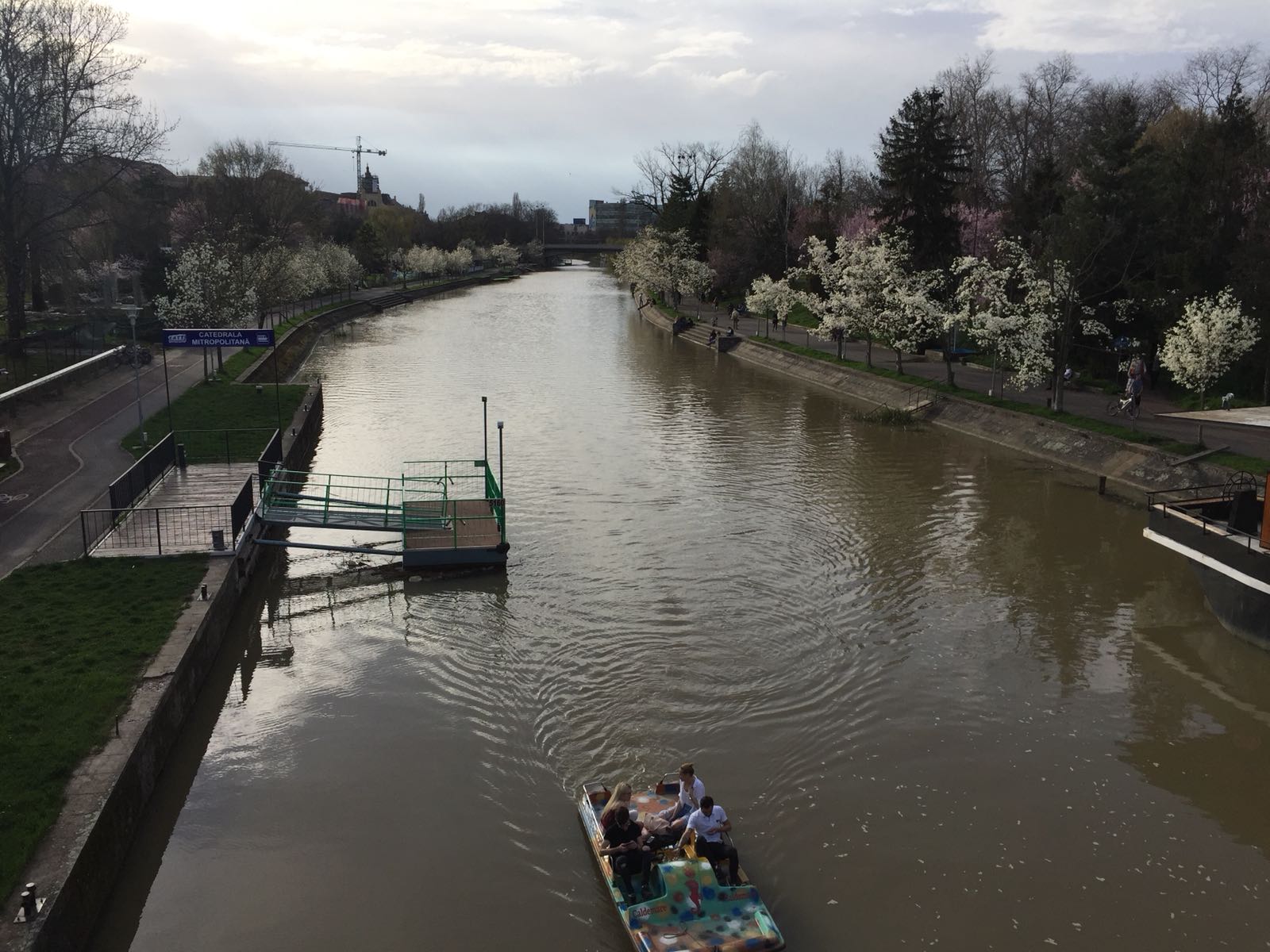 TURIST ÎN ȚARA MEA/ Timișoara înflorește odată cu primăvara. Mica Vienă, orașul premierelor cu o alură aparte de Paști