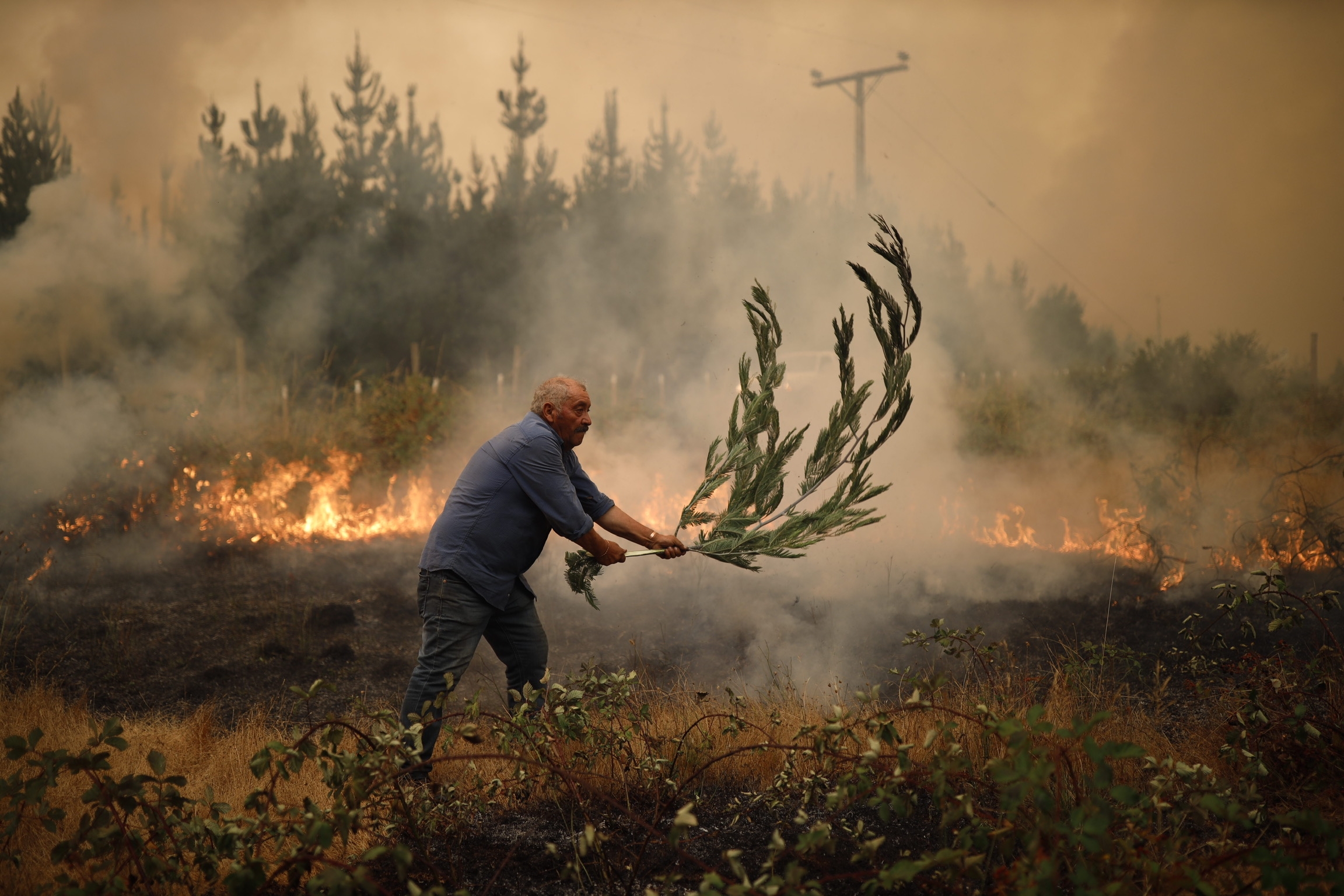 Cel puțin 23 de oameni au murit în urma incendiilor de vegetaţie, în Chile