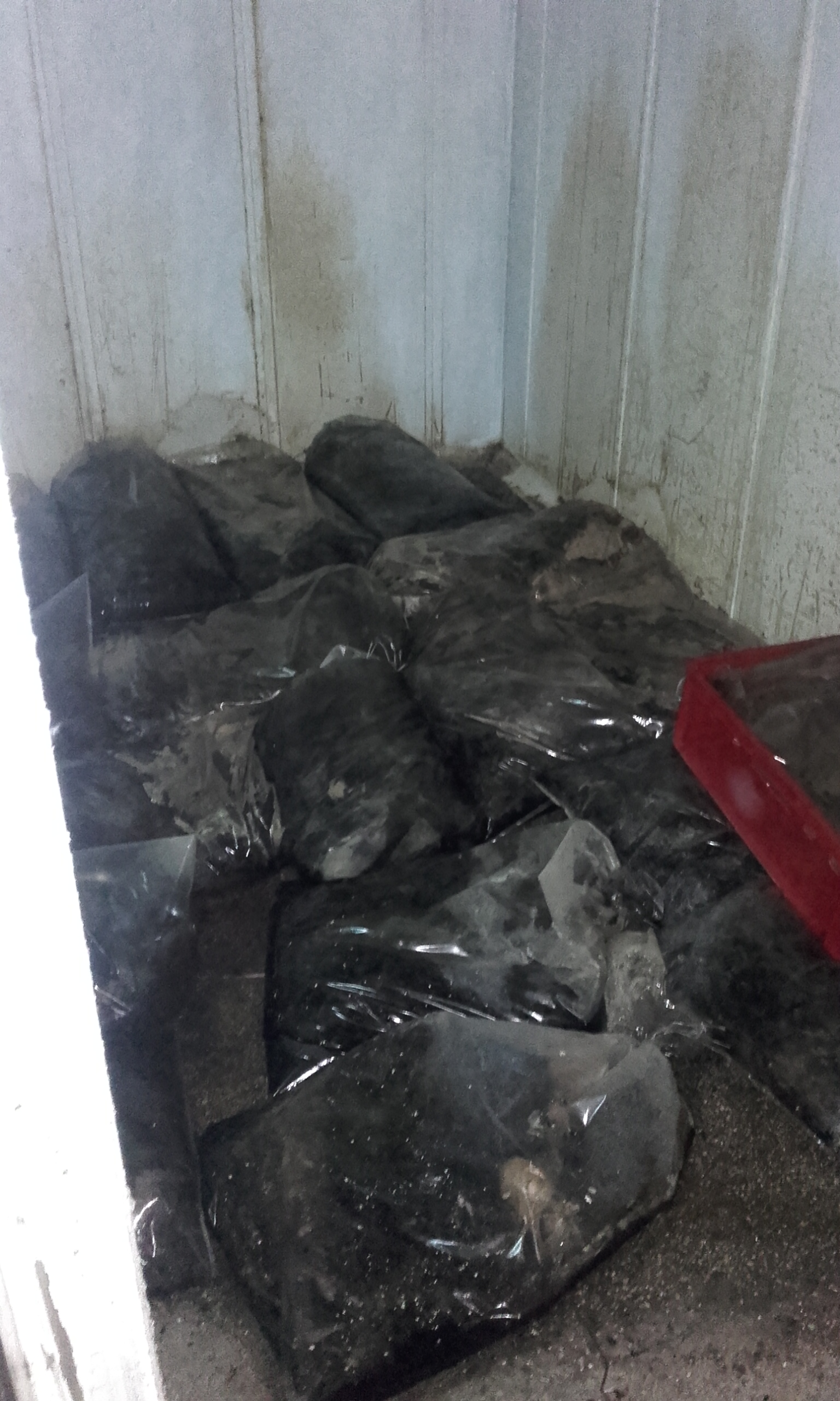 Două tone de carne în putrefacţie, găsite de inspectorii DSV într-un abator din Codlea