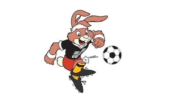 FOTO | S-a lansat mascota oficială Euro 2020 și la București