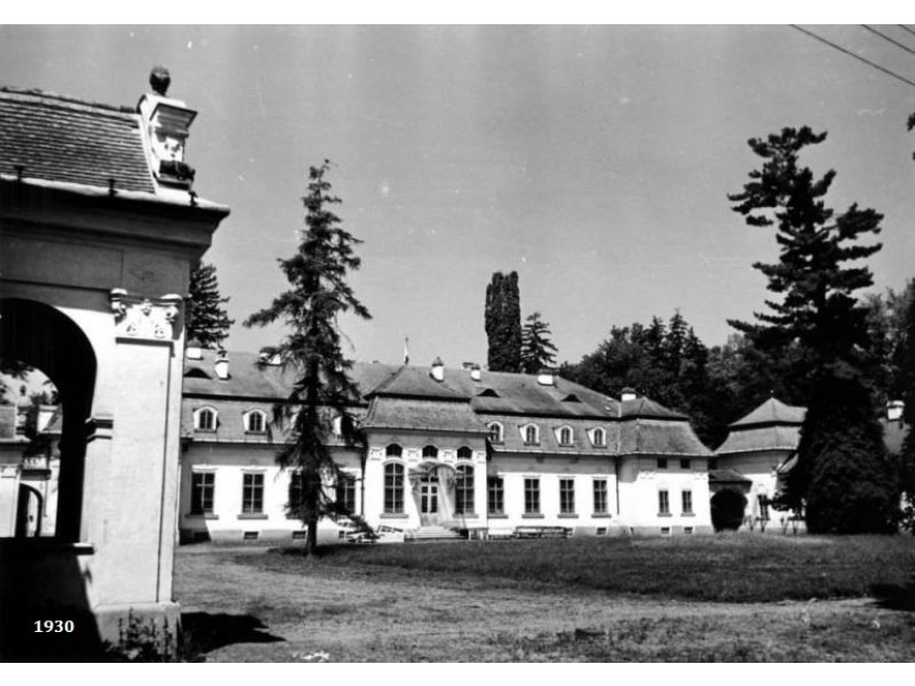 GALERIE FOTO| Pentru ce sumă a fost scos la vânzare Castelul Teleki, unul dintre cele mai importante edificii din Transilvania