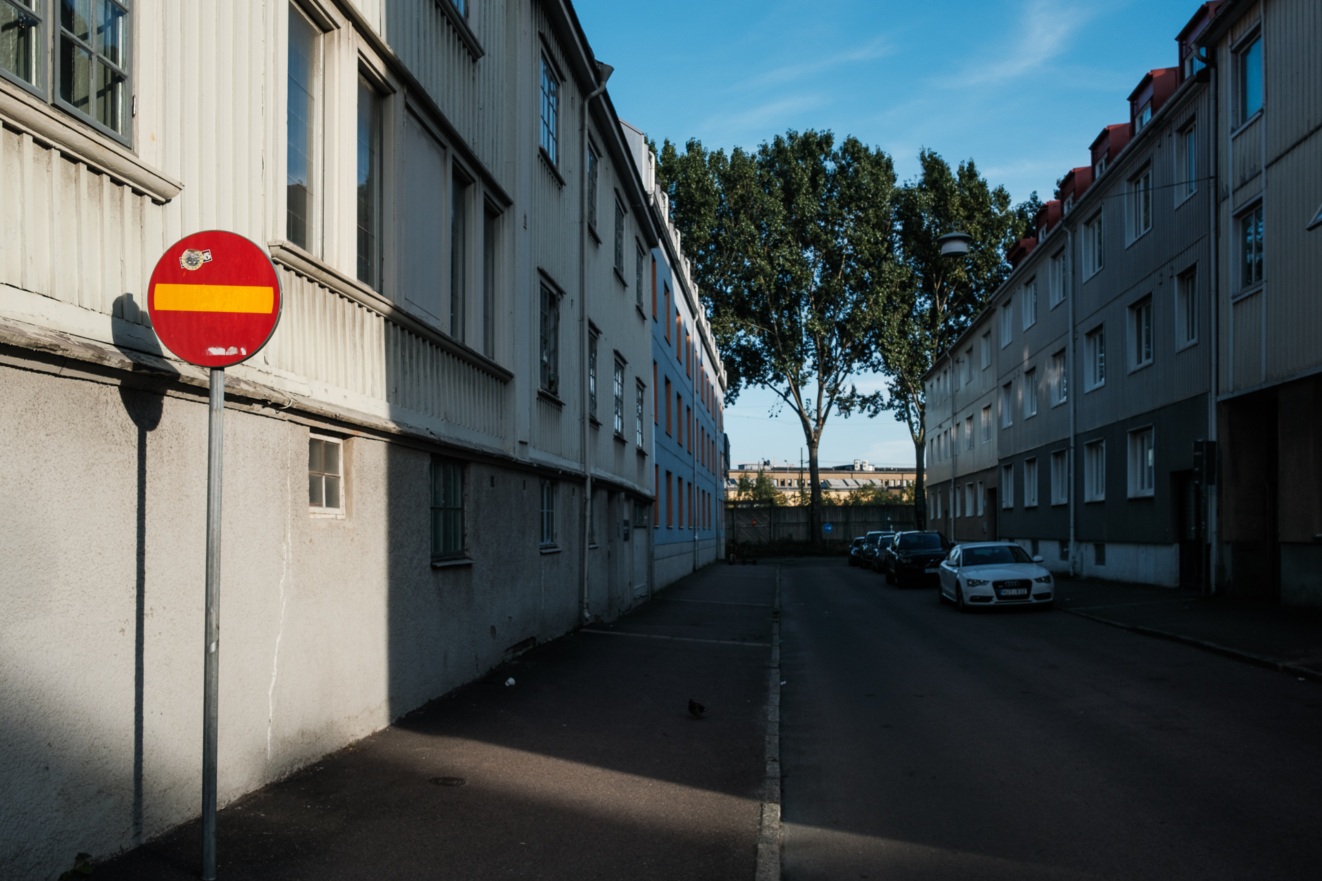 REPORTAJ. Plecată în Occident din dictatura lui Ceaușescu, o româncă explică de ce „amenințarea la adresa democrației poate să apară inclusiv în Suedia. Acolo era comunism, aici este rasism și extremă dreaptă”