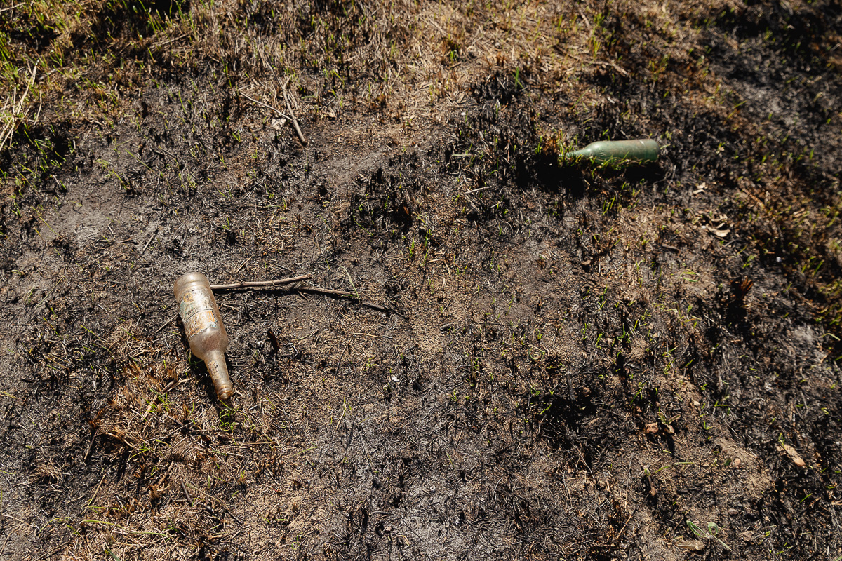 De ce arde Parcul Văcărești? Fără pază și fără regulament, „delta dintre blocuri” a ajuns un focar constant de incendii