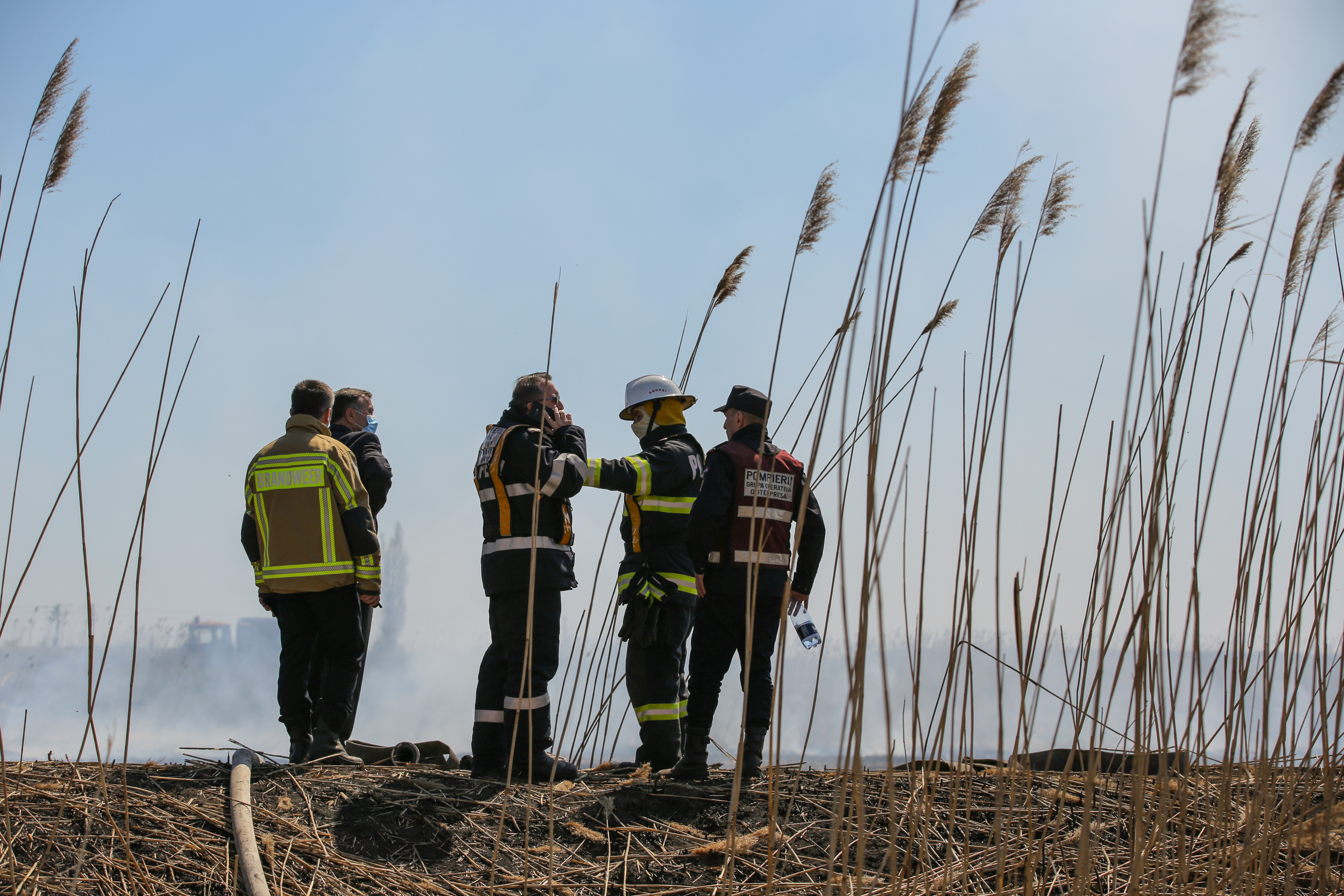 Incendiul care a poluat miercuri Bucureștiul. Cum a ajuns fosta fermă de porci din Periș, care a avut legături cu Liviu Dragnea, un dezastru ecologic
