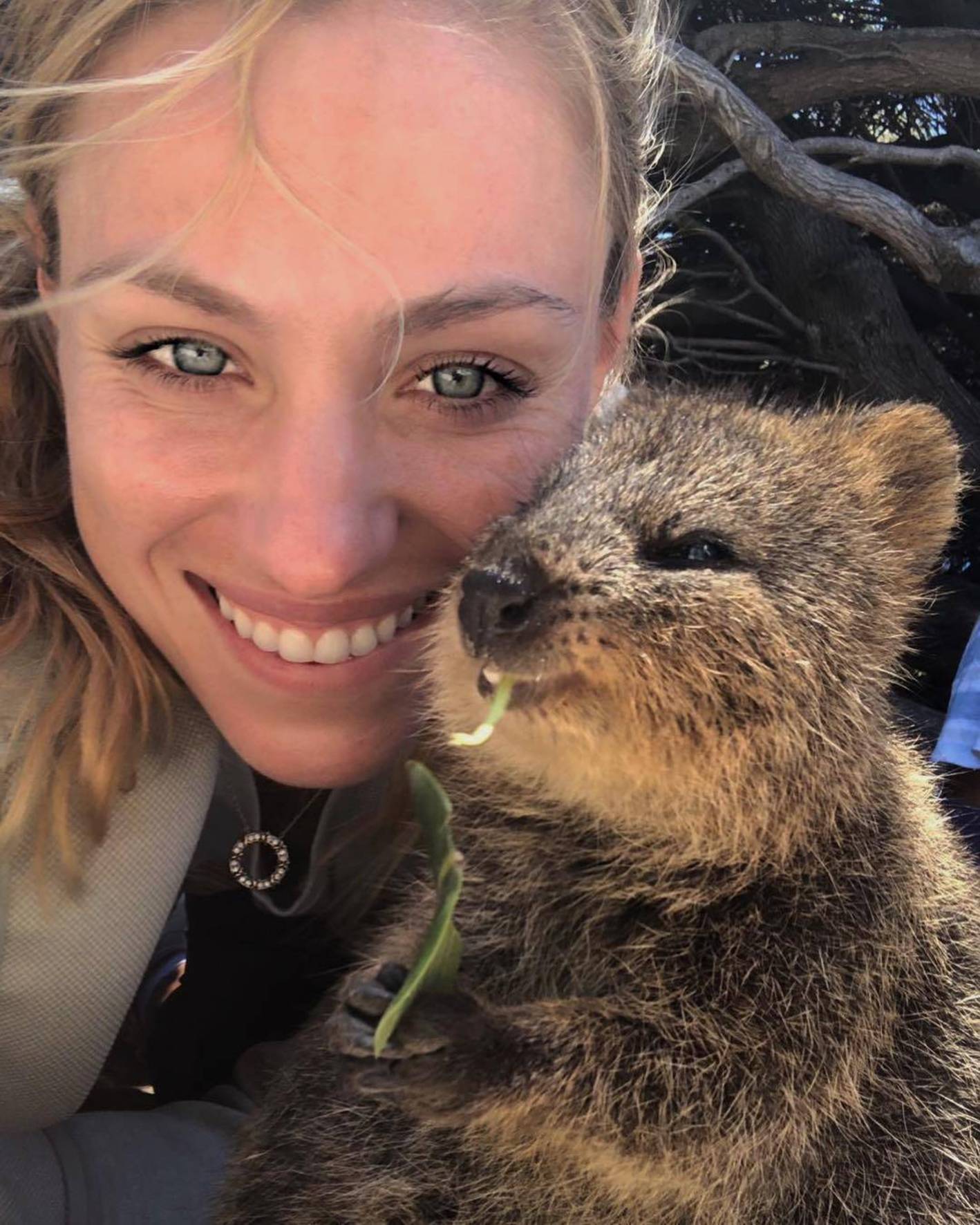 Pasagerii unei nave de croazieră, băgați în carantină cu quokka, supranumite cele mai fericite animale din lume