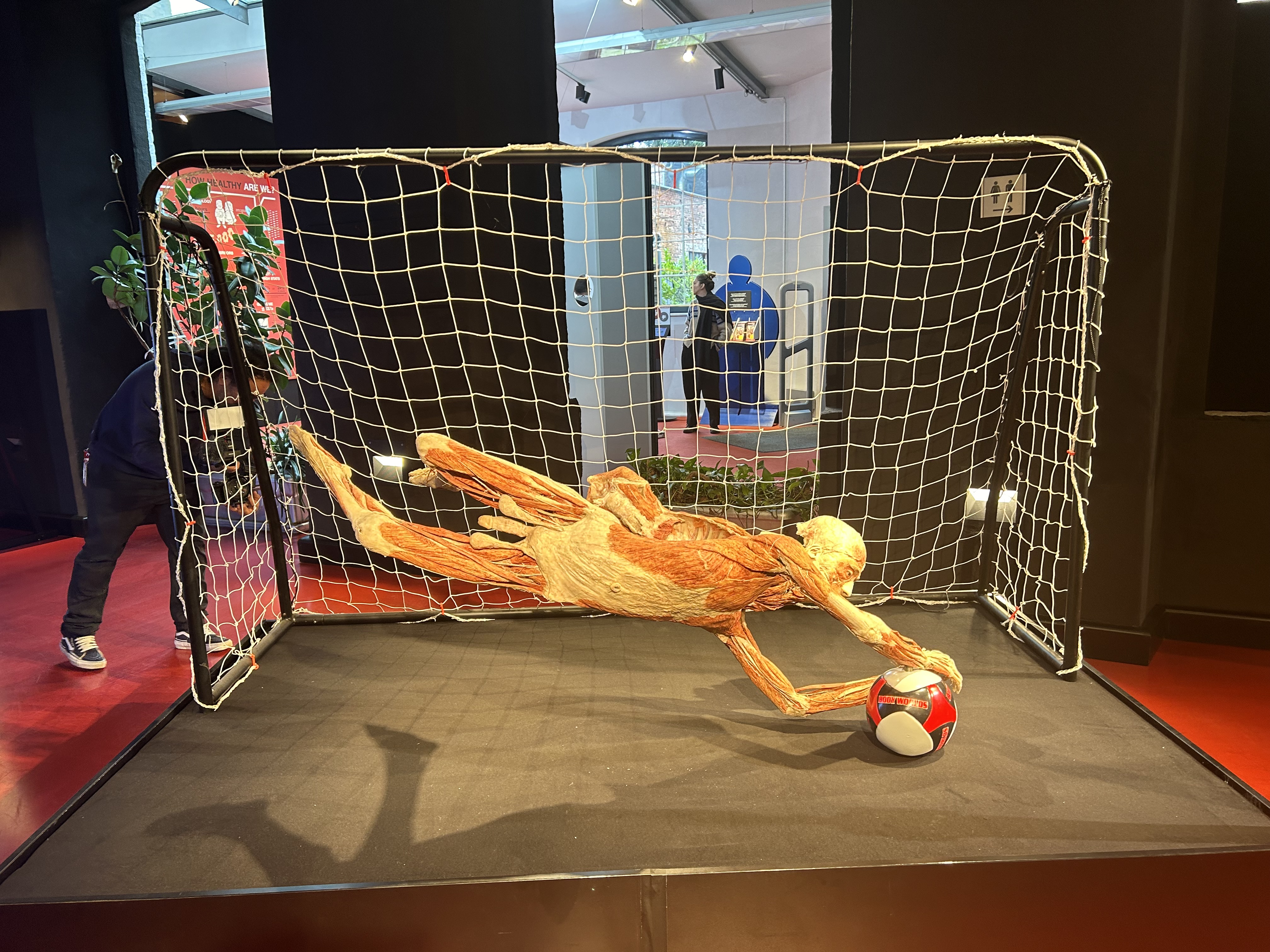 Tulburătoarea expoziție de „plastinate” organizată la București: „De fapt, totul este despre viață, nu despre moarte” | Interviu