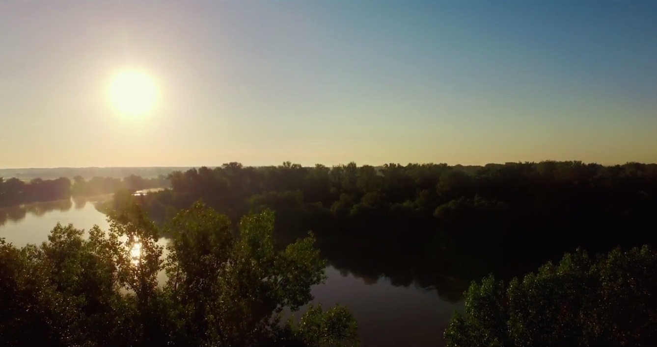 VIDEO România neîmblânzită, imagini fabuloase din pădurile României, într-un film britanic care ajunge azi și în România. Azi este Ziua Internațională a Pădurilor