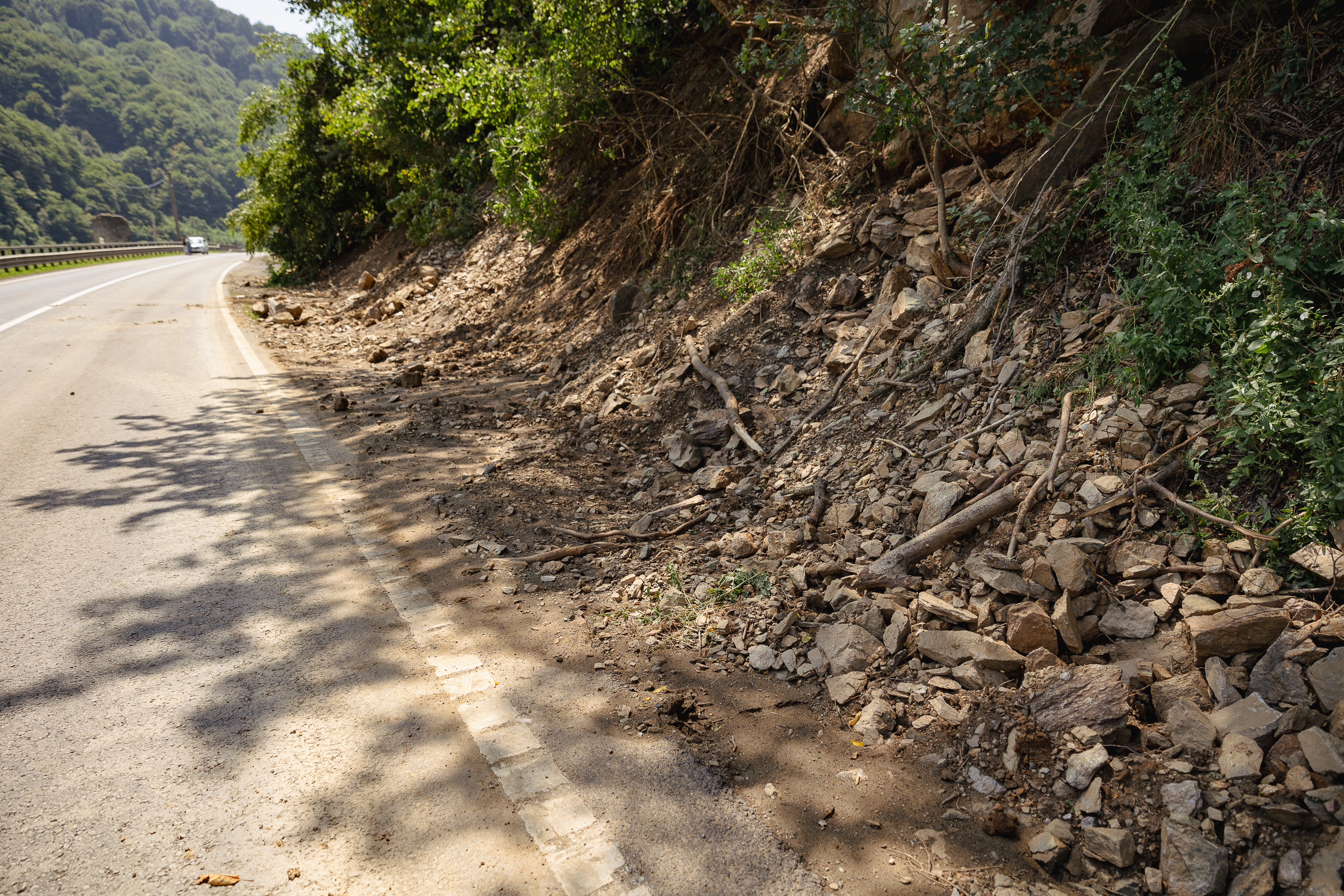 REPORTAJ Valea Oltului - viața după barieră. În lipsa traficului, natura își revine și nu prea, iar ministrul Grindeanu supraveghează cu drona progresul lucrărilor