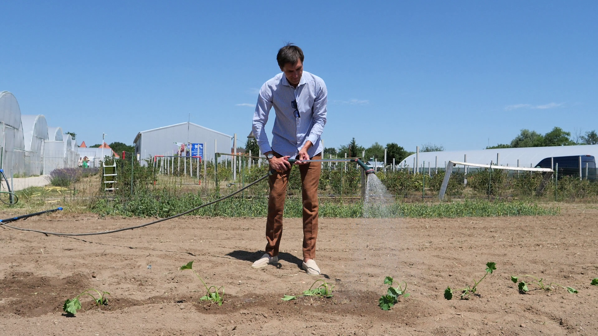 Ciprian Tătărușanu s-a apucat de agricultură și cultivă ardei iuți, dovlecei și vinete pe o suprafață de 10 hectare, în județul Dâmbovița