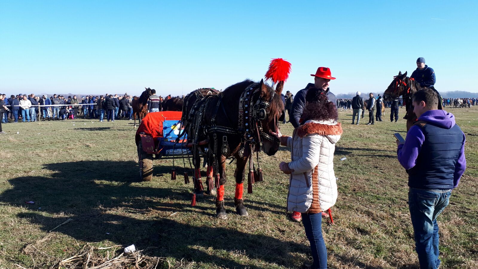 REPORTAJ: Ca să nu mai fie bătuți, caii nu mai intră la proba de tracțiune, la Botezul Cailor de la Pietroșani| FOTO