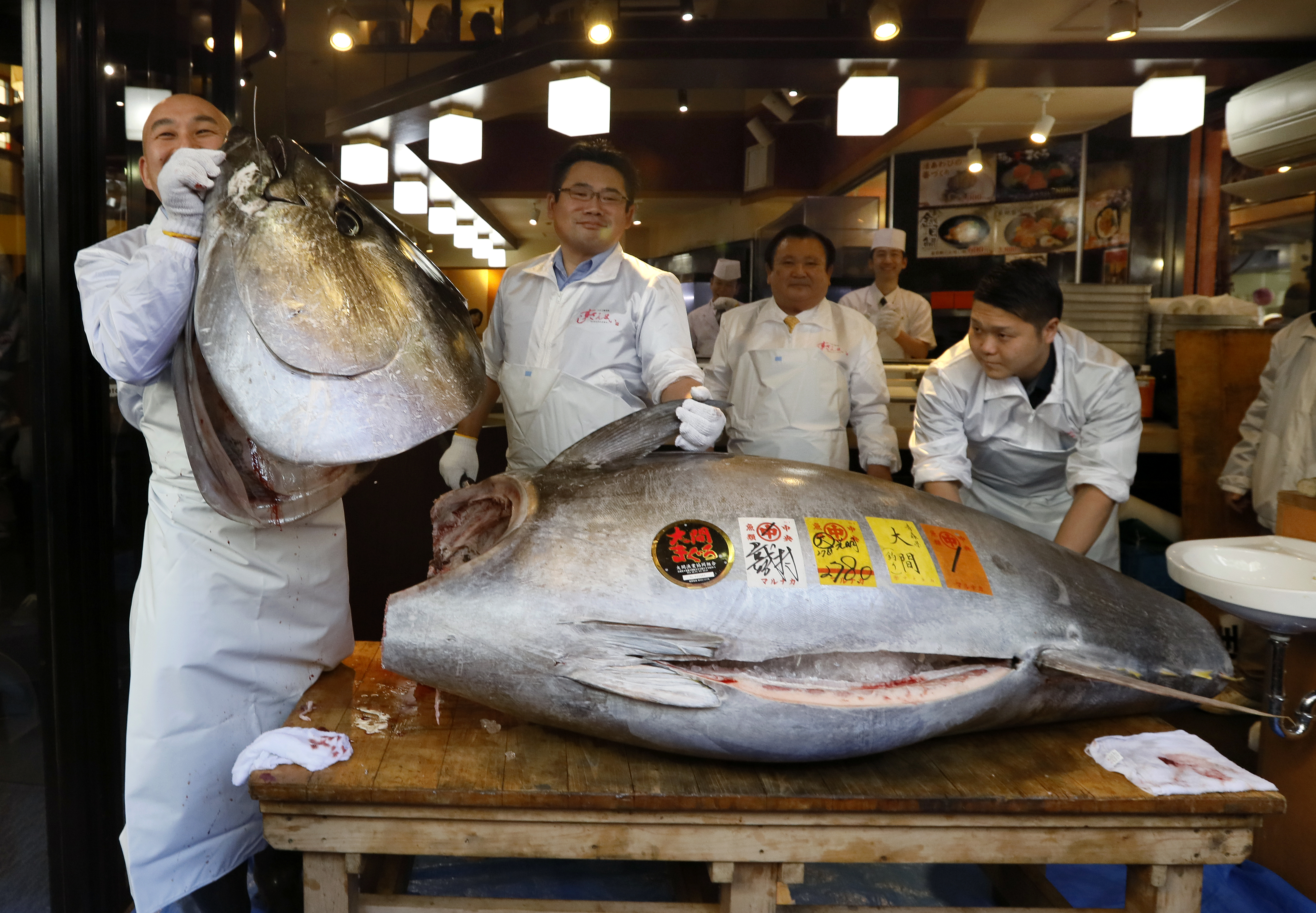 Un ton uriaș a fost cumpărat în Japonia. Prețul colosal, plătit de un magnat pentru peștele de aproape 300 de kilograme / FOTO&VIDEO