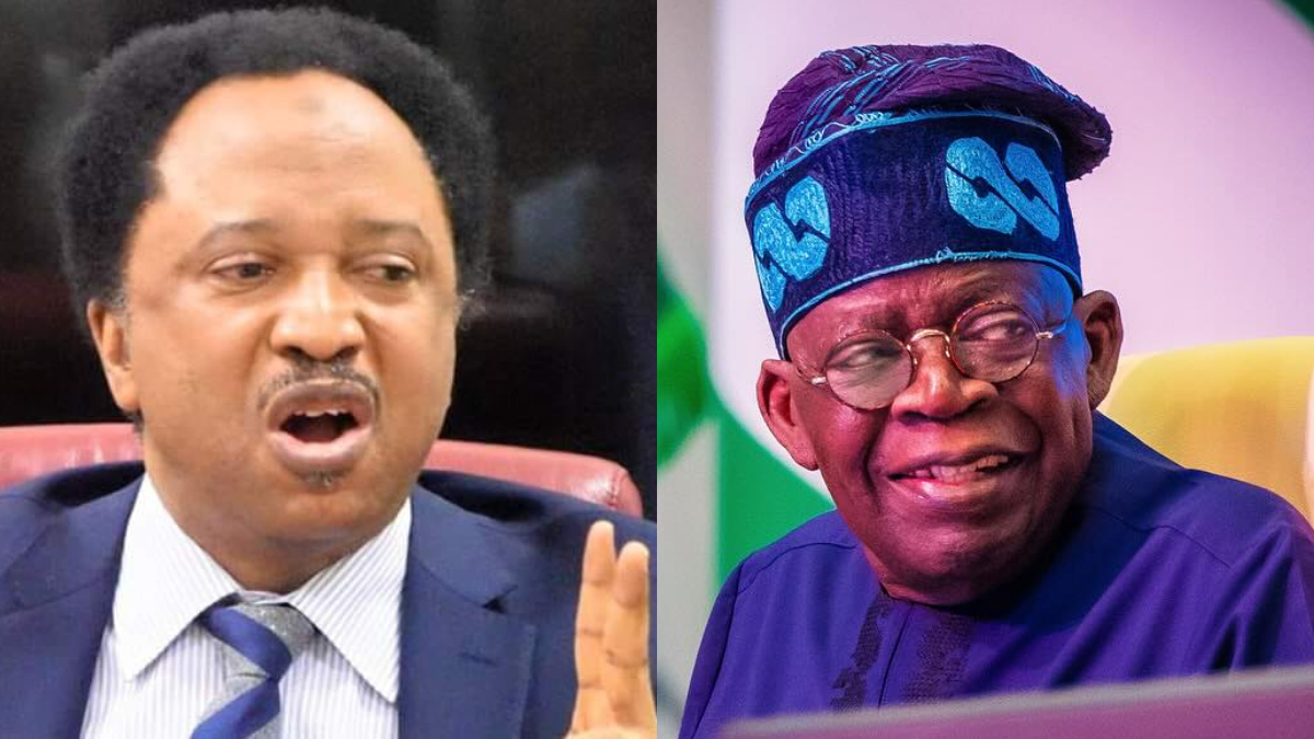 Nigerians reaping from Buhari's error, give Tinubu time' - Shehu Sani | Pulse Nigeria