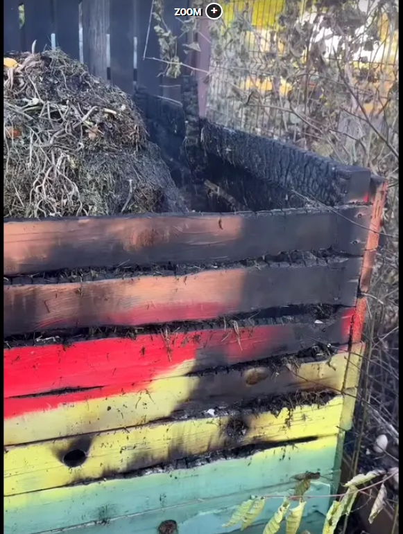 Clipe de panică pentru Ioana Ginghină. „La un pas să luăm astăzi foc din cauza unui vecin inconștient”