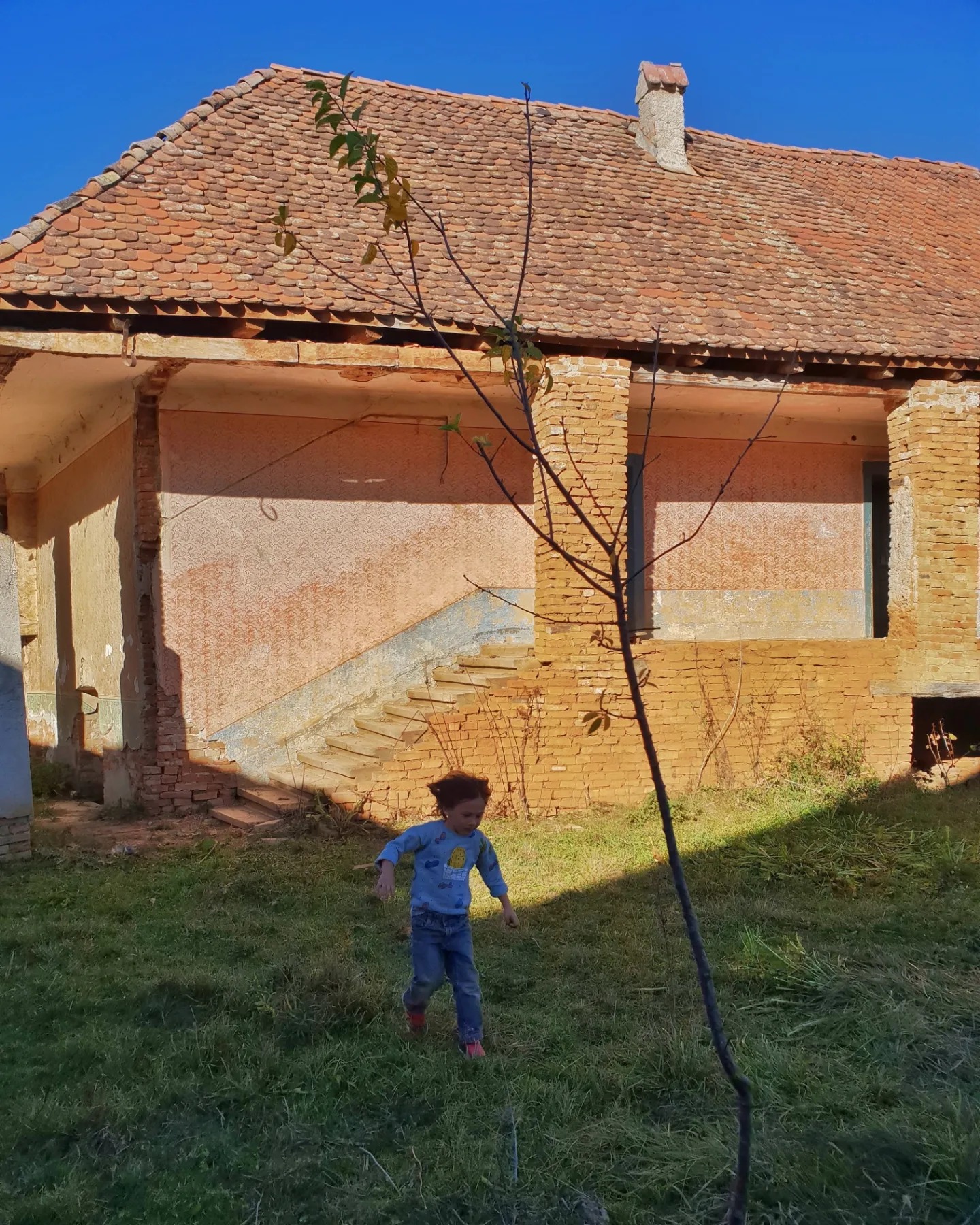 Cum arată casa Danei Rogoz de la Viscri. Actrița a publicat primele imagini cu locuința aflată încă în renovare. „Mai e mult de lucru”