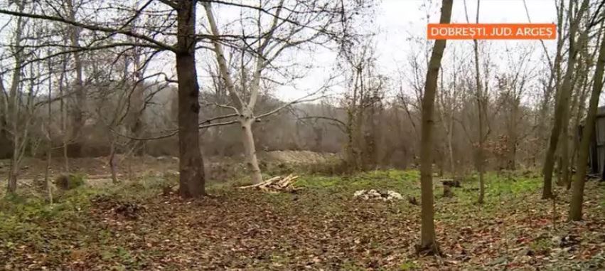 Imagini cu casa de la țară a lui Bodo de la Proconsul. A transformat discoteca din sat în loc de joacă pentru copii