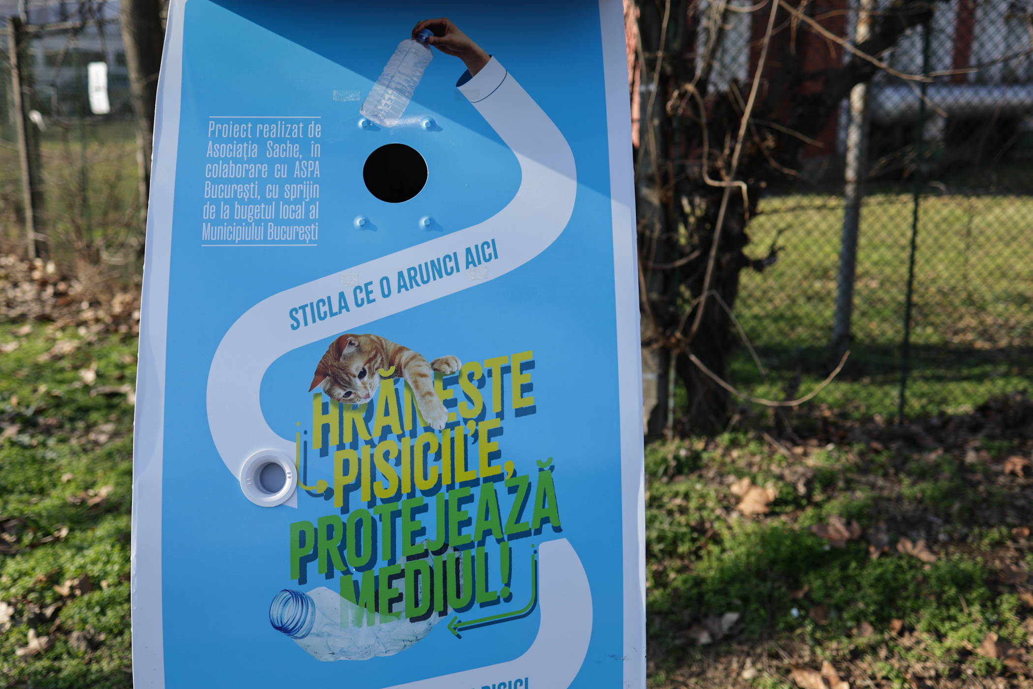 Donezi o sticlă de plastic și hrănești gratuit pisicile din parcul Tineretului din București. A fost montat primul dispozitiv inteligent pentru animăluțe