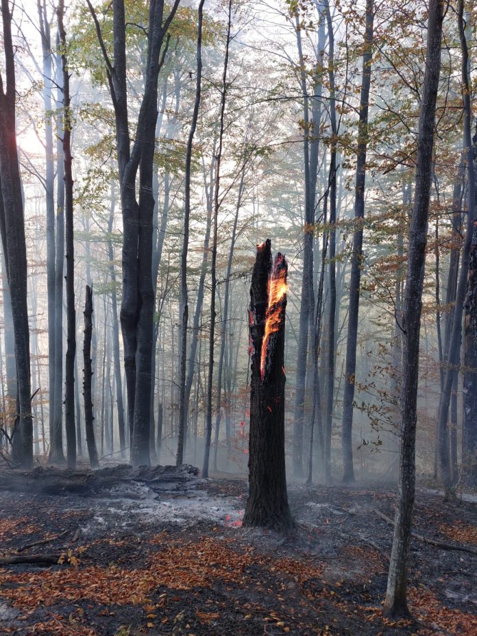 Intervenție cu 20 de pompieri la Barajul Paltinu, după un incendiu de pădure izbucnit în urmă cu o zi