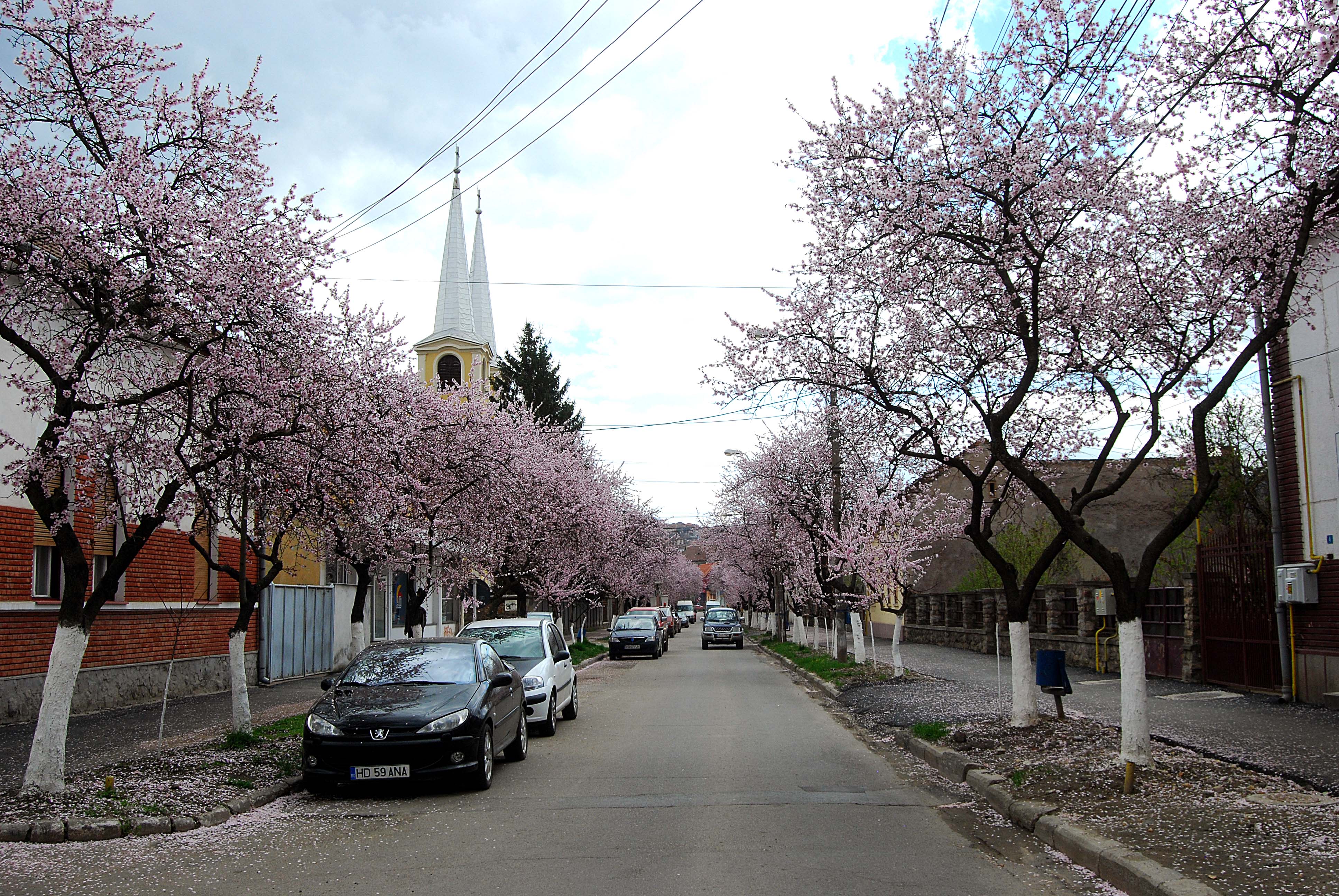 Este aceasta una dintre cele mai frumoase străzi din România? Imagini desprinse parcă din povești! GALERIE FOTO