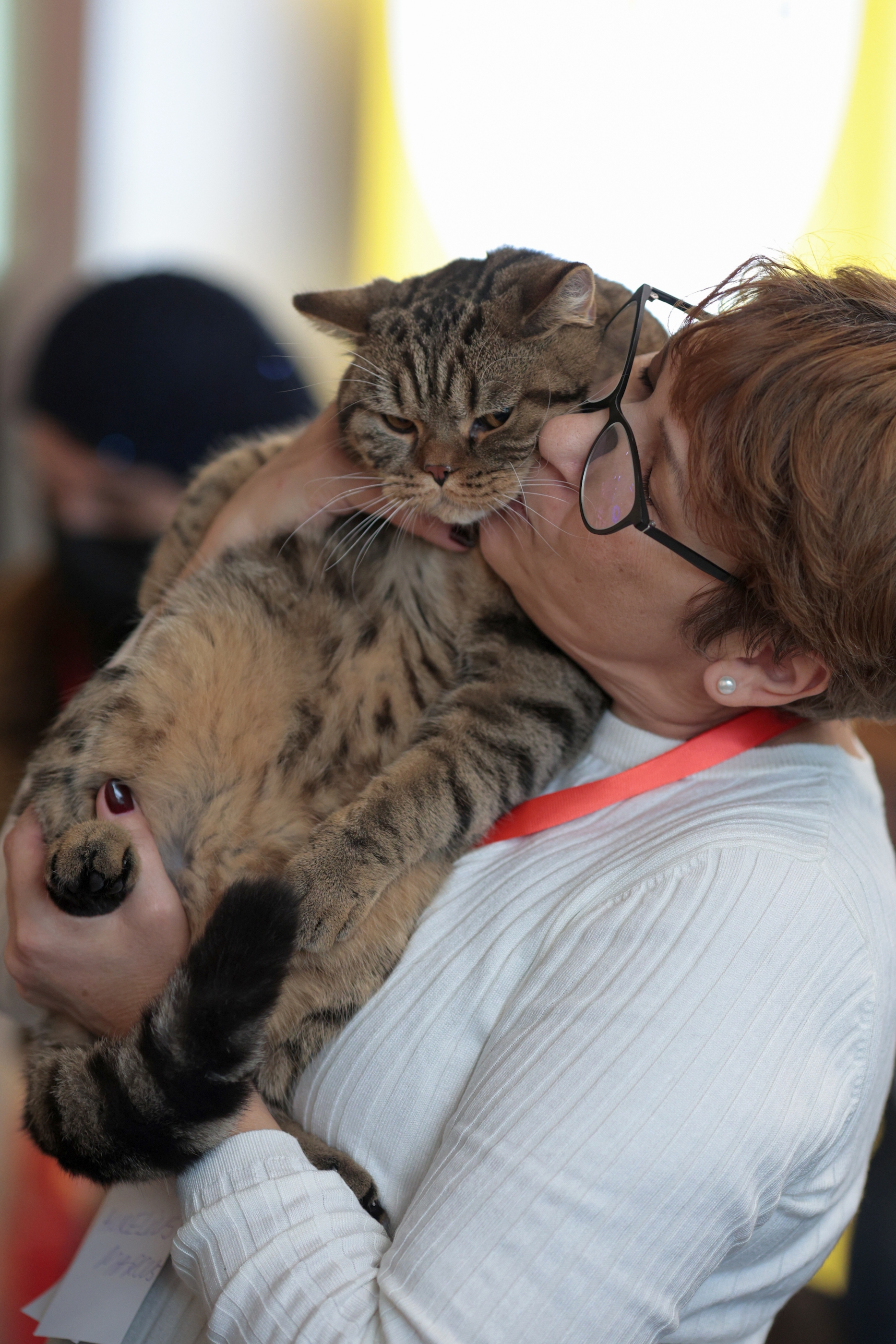 FOTO. Pisicile au pus stăpânire pe un mall din Capitală. Peste 250 de exemplare participă la Expoziția Internațională Feline WCF