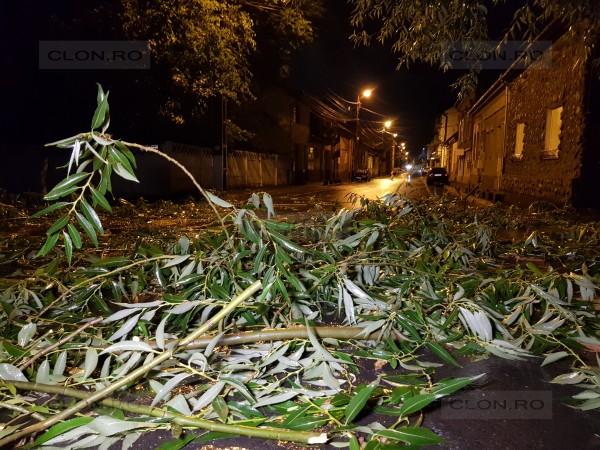 Furtună puternică în Arad. Incendiu, sute de case fără curent și mașini distruse de copaci din cauza vijeliei