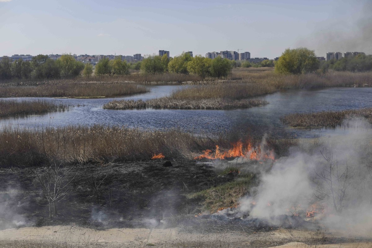 Incendiul din Delta Văcărești, stins după două ore. Ce suprafață a fost afectată