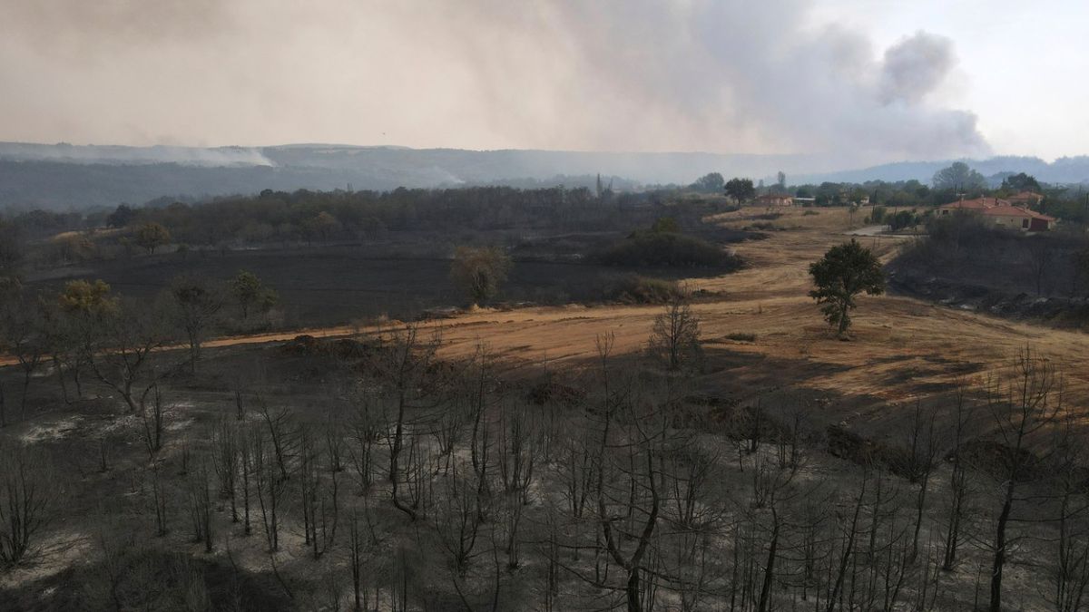 Grecia trimite încă 100 de pompieri să intervină la incendiul din nord-estul țării care arde de 13 zile
