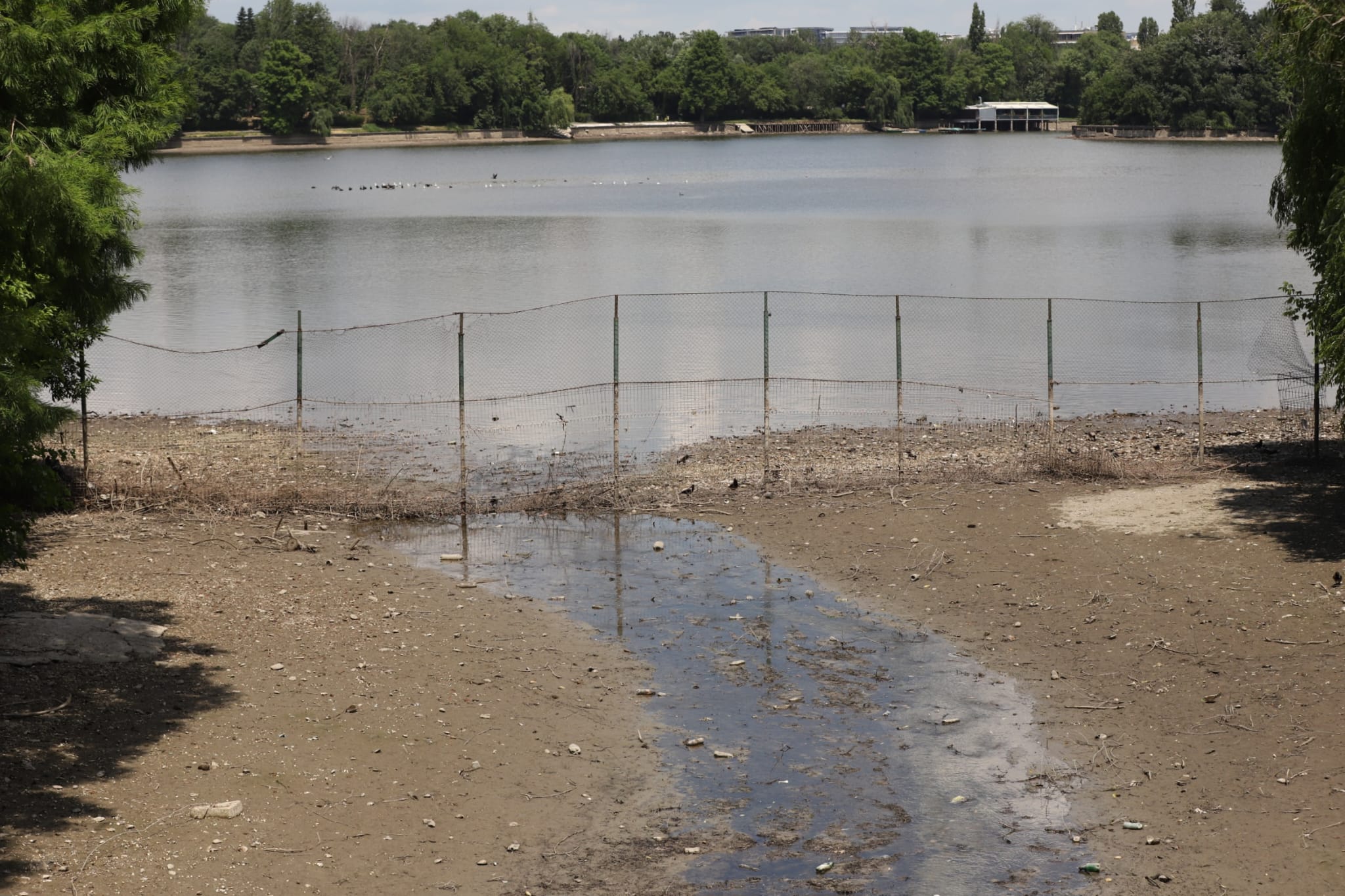 Cum arată lacul golit din parcul Herăstrău din București. Trotinete și scaune, printre obiectele găsite pe fundul lacului