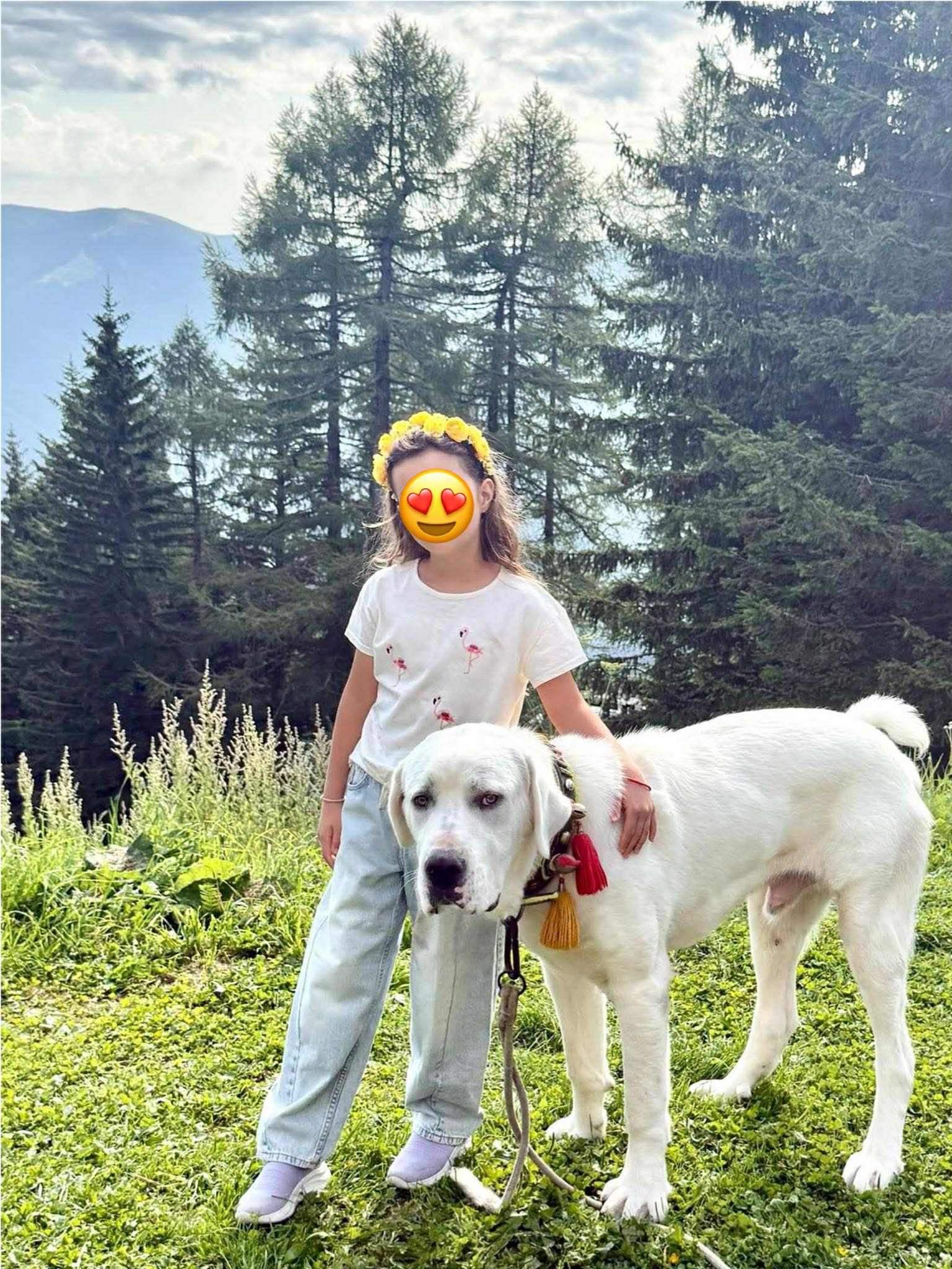 Cum a apărut Elena Udrea la munte alături de Adrian Alexandrov și fiica lor. „Eva si Igor, care ne-a apărat de urs. Este puternic”