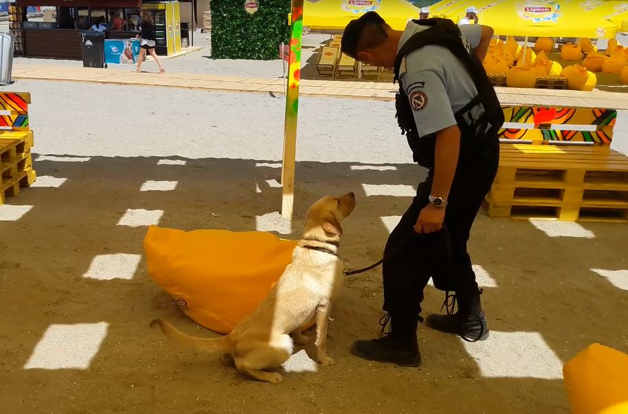 VIDEO EXCLUSIV/Armata Neversea, „blindată” până în dinți. Petrecăreții de pe litoral vor fi vegheați din umbră de orice fel de atac