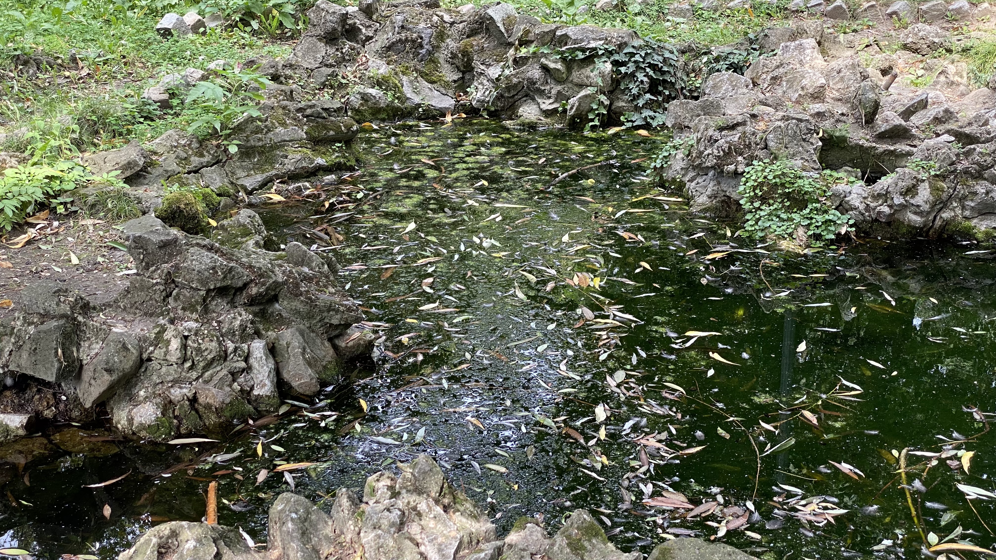 Cișmigiu, mândria tristă a Bucureștiului: pământ în loc de iarbă, alei distruse, garduri rupte și mirosuri insuportabile