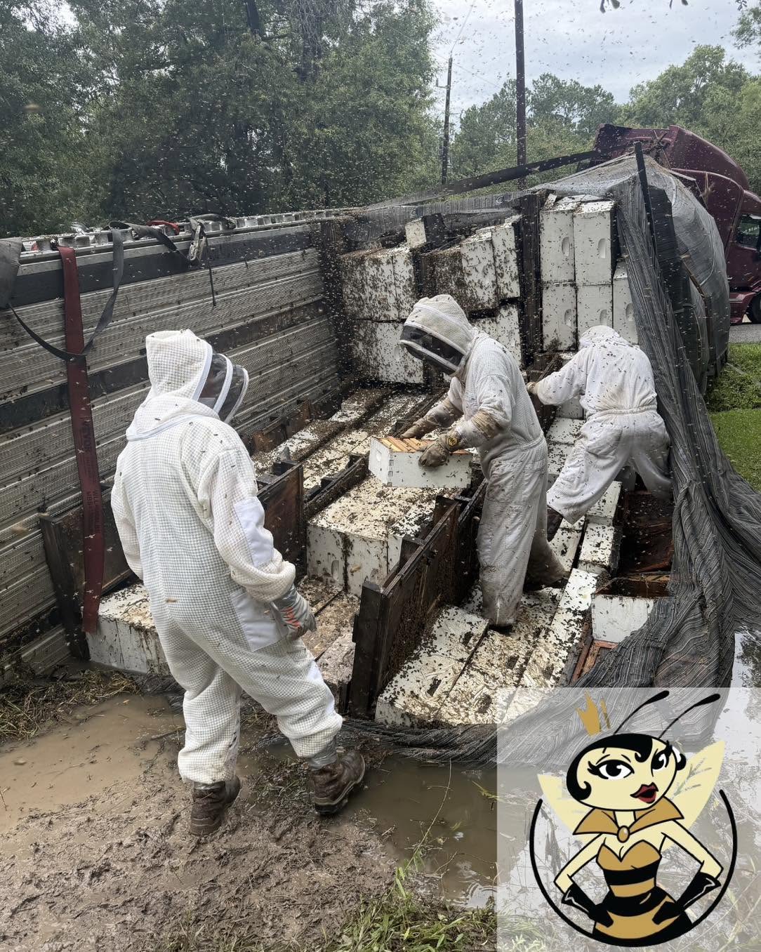 Două milioane de albine au evadat în Texas după ce un camion plin cu stupi s-a răsturnat: „Nu ți-ai dori vreodată să vezi”
