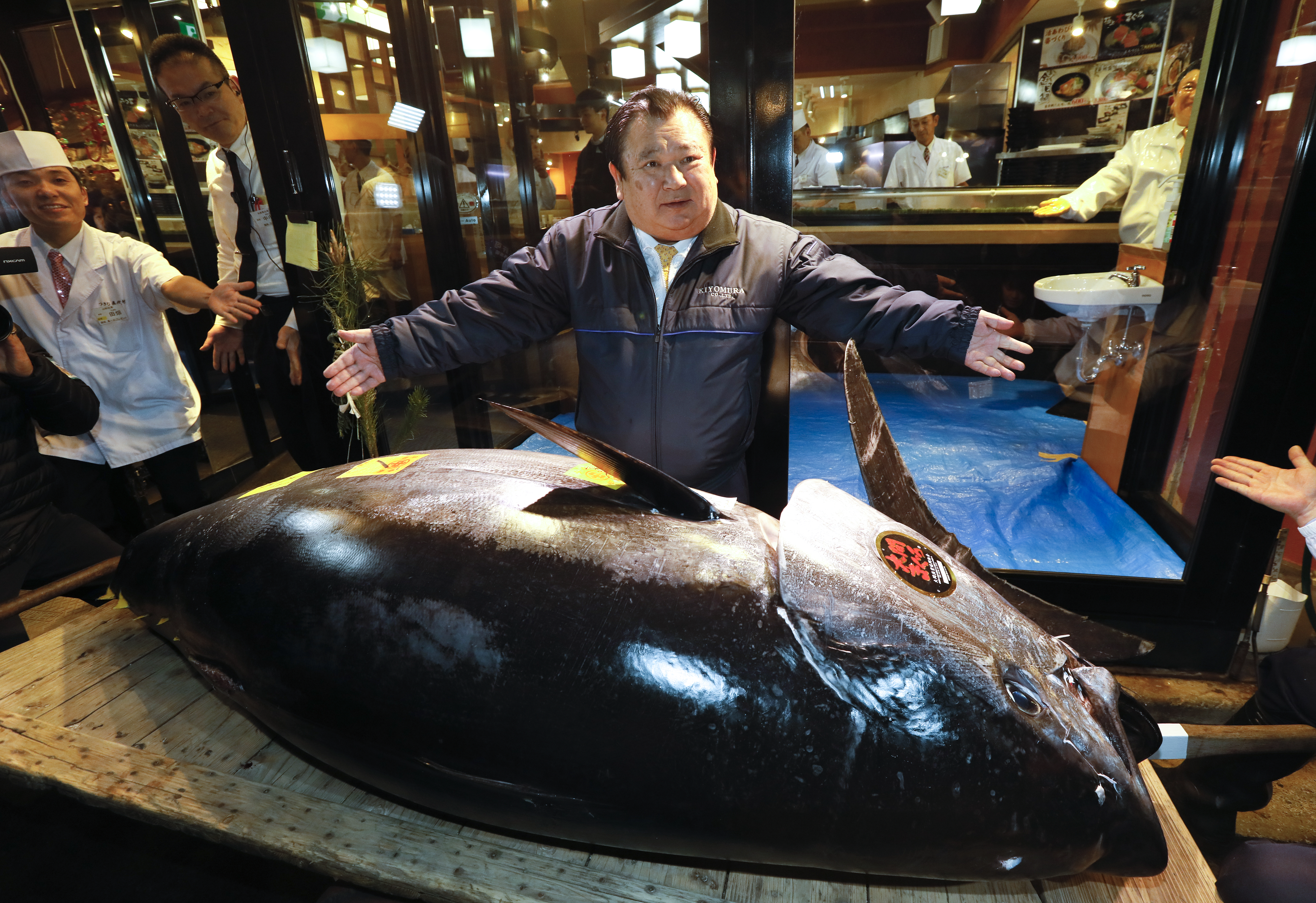 Un ton uriaș a fost cumpărat în Japonia. Prețul colosal, plătit de un magnat pentru peștele de aproape 300 de kilograme / FOTO&VIDEO