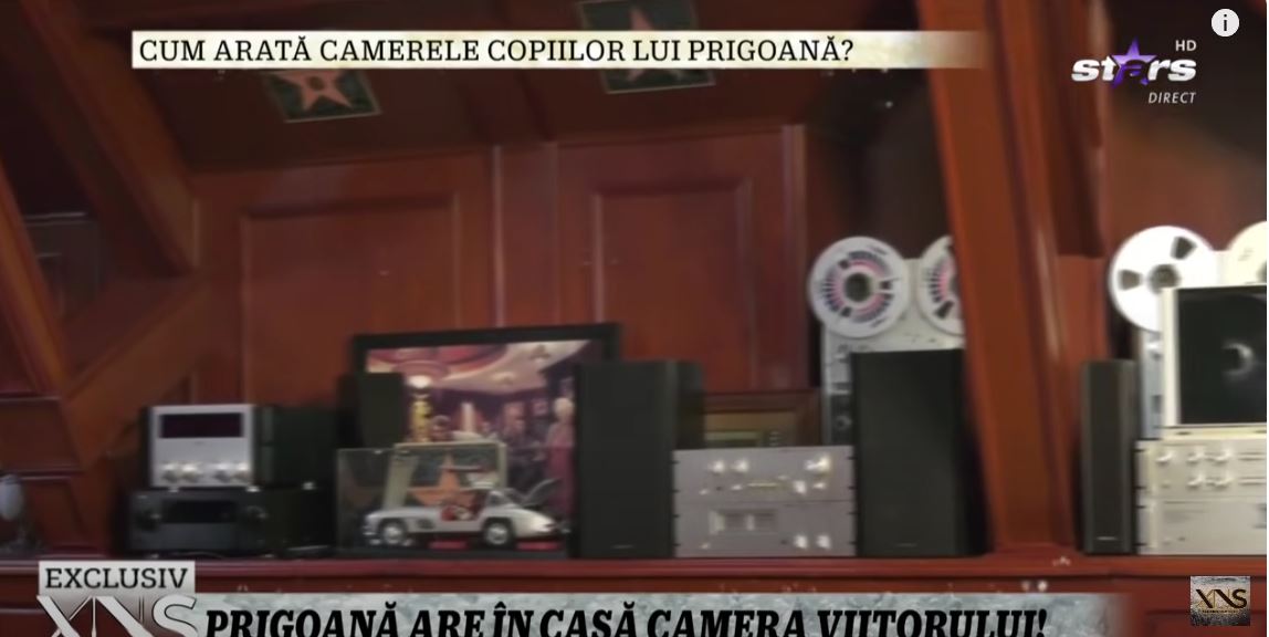 Imagini din casa lui Silviu Prigoană. Rar vezi așa ceva în România