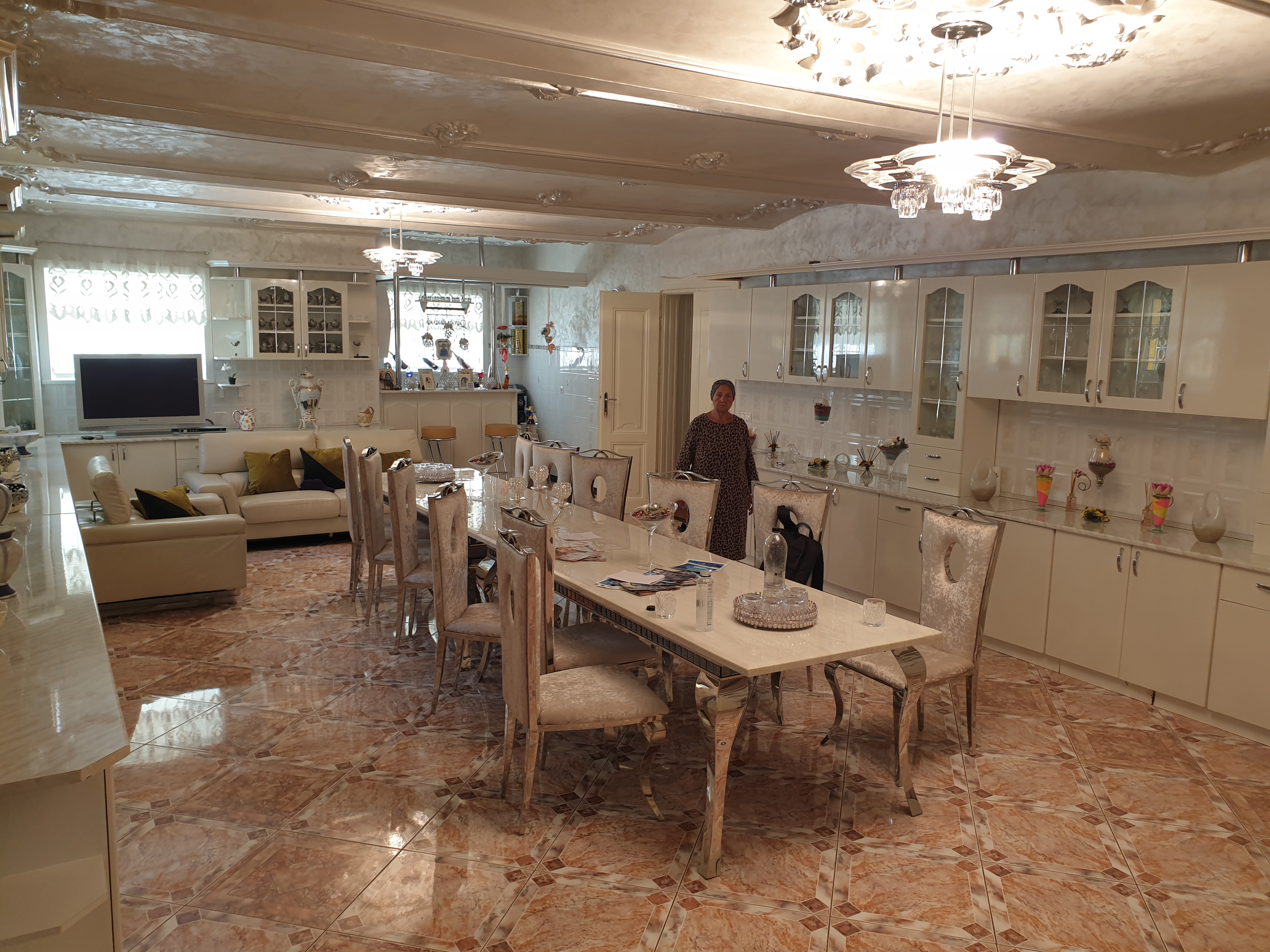 Palatul din Timișoara „naționalizat” de Dominic Fritz și locuit de clanul Momiță. De ce a respins Judecătoria Arad evacuarea