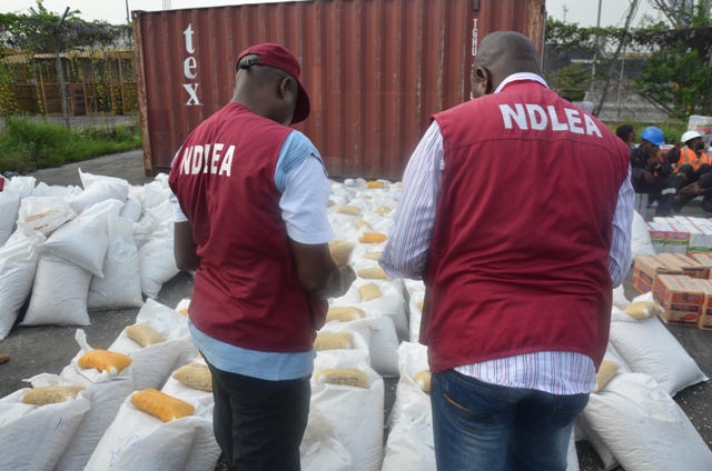 NDLEA officials (Credit: Premium Times Nigeria)