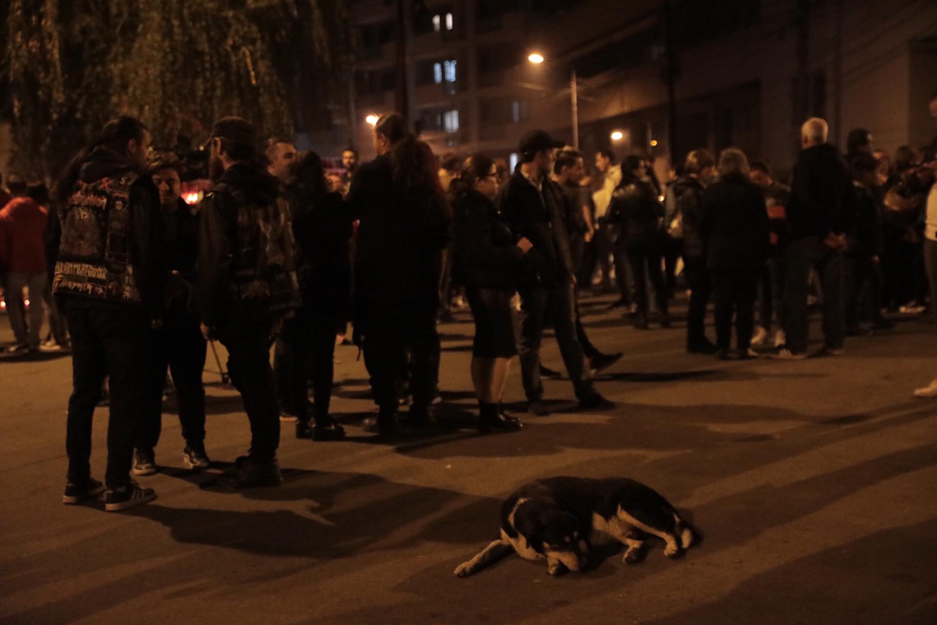 Marș în memoria victimelor de la Colectiv. Fotografiile tinerilor care au murit au fost așezate în fața Parchetului