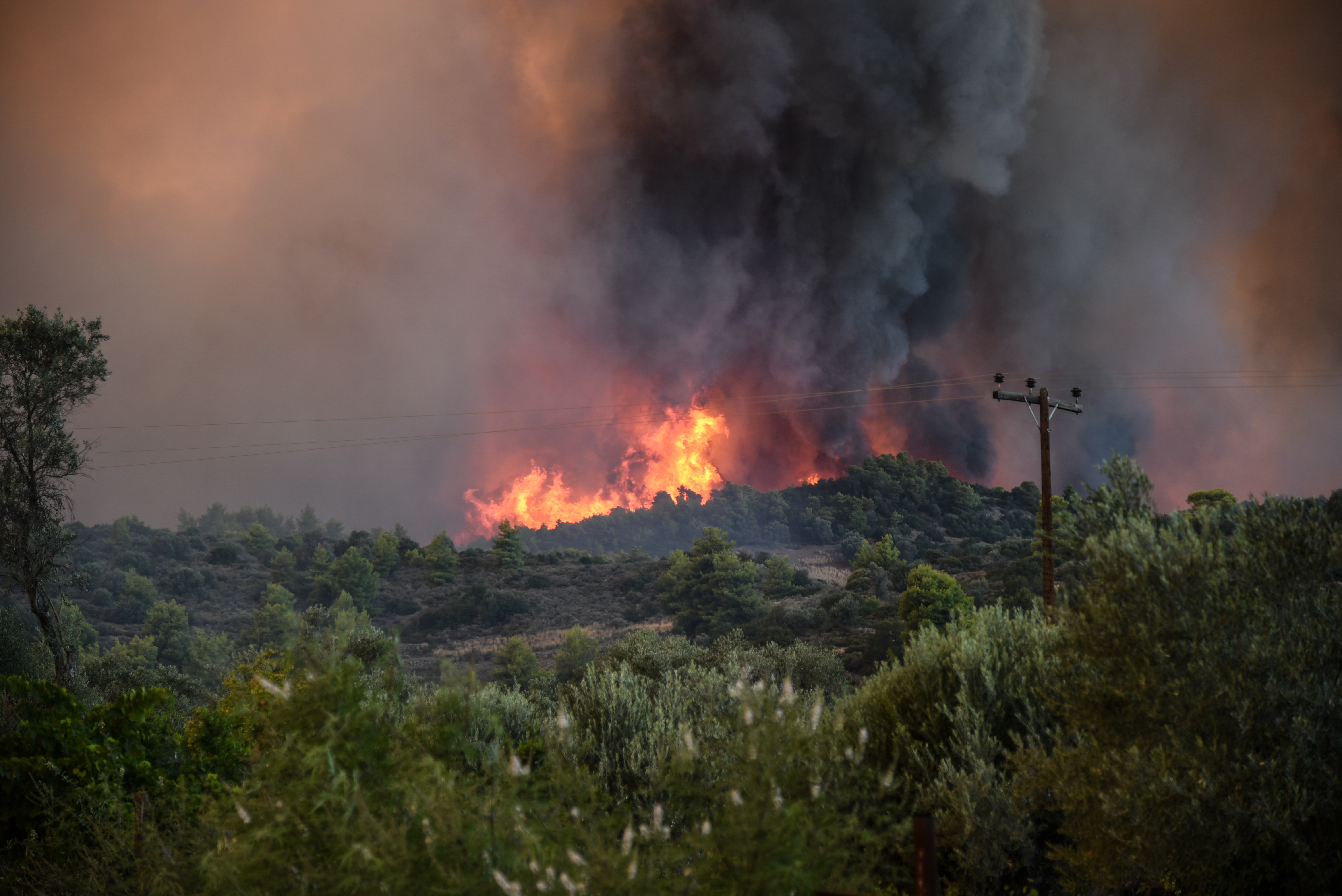 Evacuări în insula Evia din Grecia, din cauza incendiilor de pădure. 250 de pompieri şi 62 de autospeciale, în lupta cu flăcările