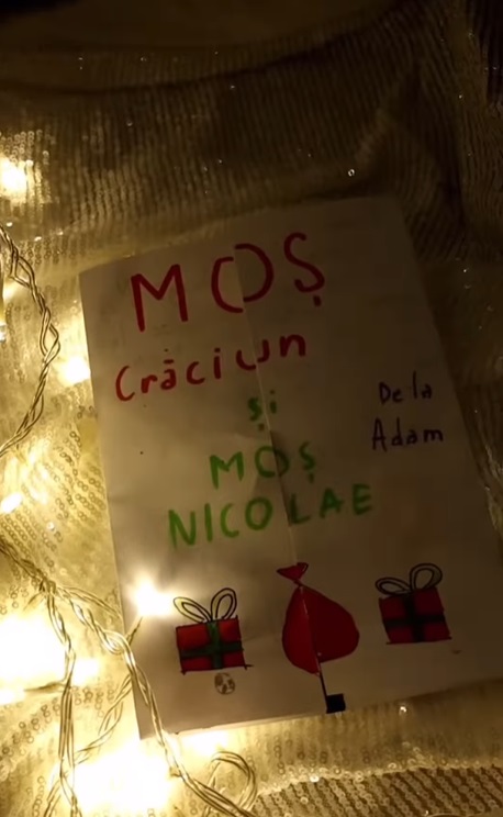 Imagini din sufrageria Annei Lesko, decorată de Crăciun. Are cinci brazi în living, pe care nu i-a împodobit cu globuri