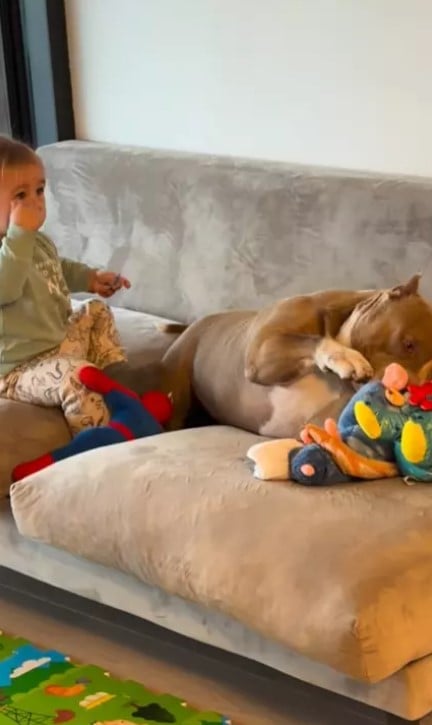 Imagini din casa în care Laurențiu Reghecampf și Corina Caciuc locuiesc alături de cei doi copii, Liam și Landon