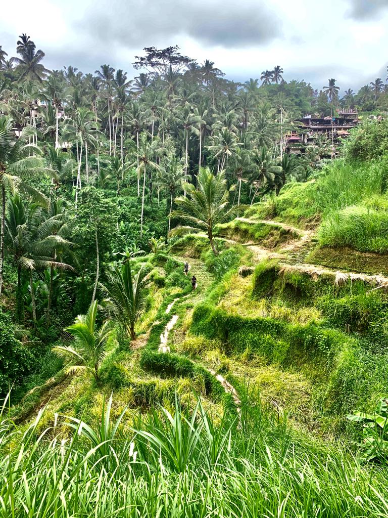 Cum să combini două experiențe total diferite în Indonezia. Ponturi de vacanță de la Dragoș Stanca, expert media și pasionat de scufundări