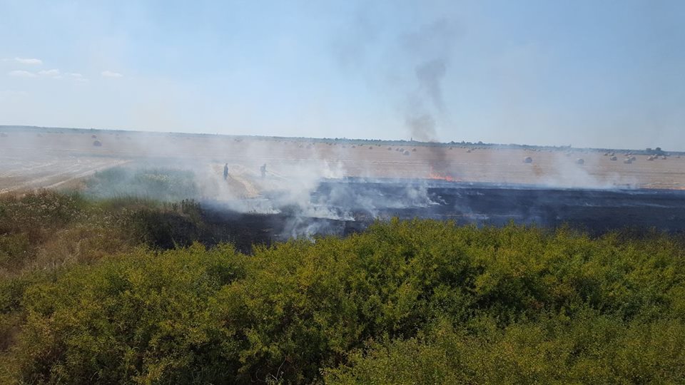 Incendiile de vegetație fac ravagii în Timiș. O mașină și mai multe hectare de teren, făcute scrum