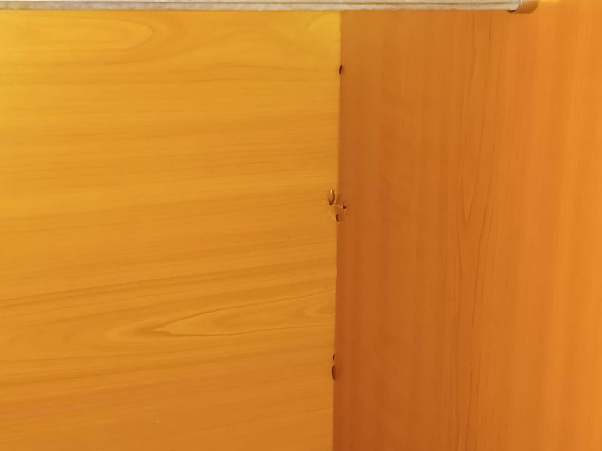 FOTO. După ce Universitatea de Educație Fizică și Sport a catalogat greva studenților drept „nelegală”, aceștia au trimis către Libertatea imagini cu gândacii din cămine. Ce spune rectorul
