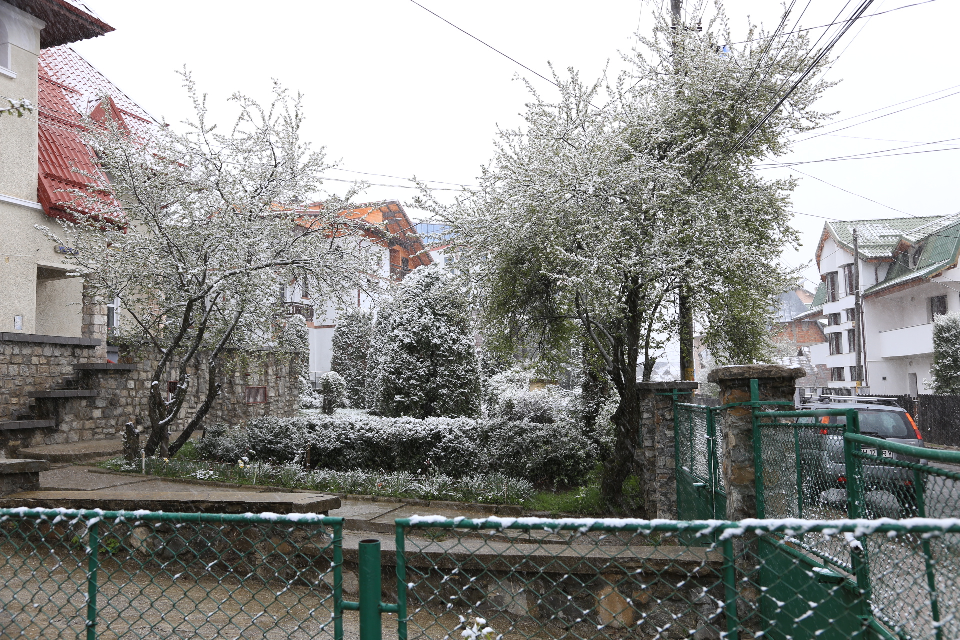 NINSORI în țară înainte de Paște! Se apropie 1 MAI, dar parcă-i iarnă în toată regula! GALERIE FOTO