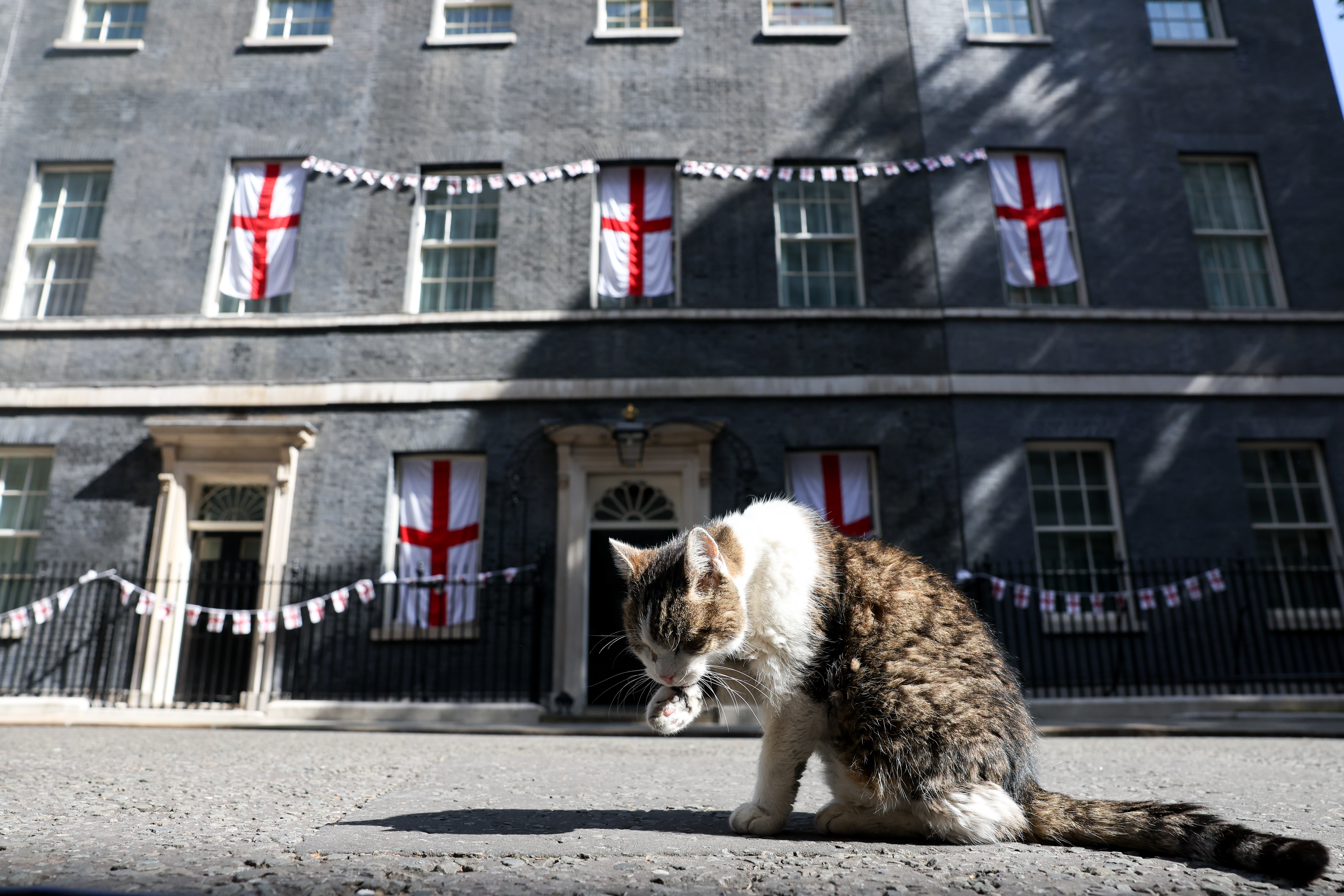 „Politicienii vin și pleacă, pisicile rămân”: Motanul Larry a ajuns la al șaptelea premier cu care împarte reședința de la 10 Downing Street