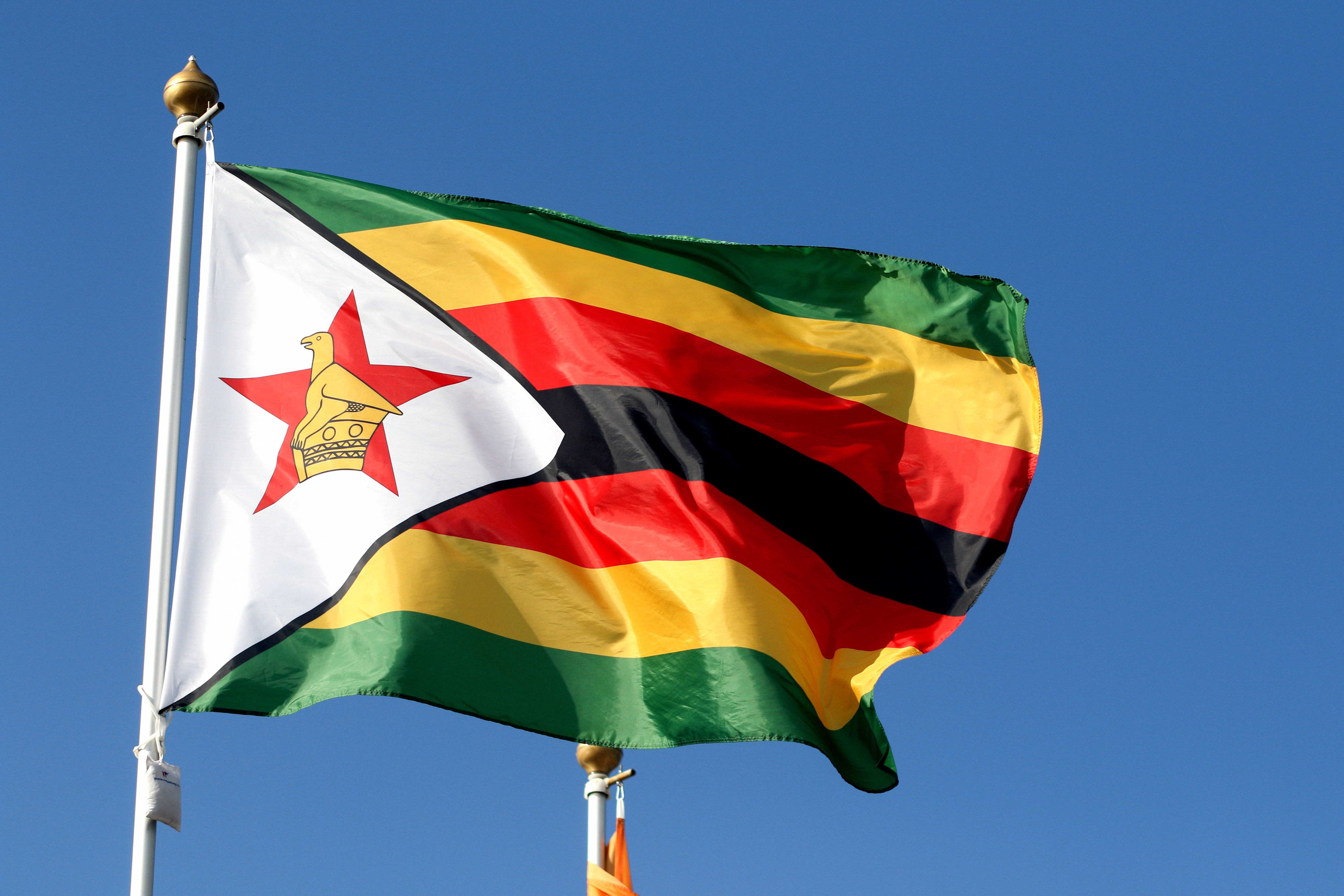 How UAE became Zimbabwe’s top customer, buying half of everything it exports
