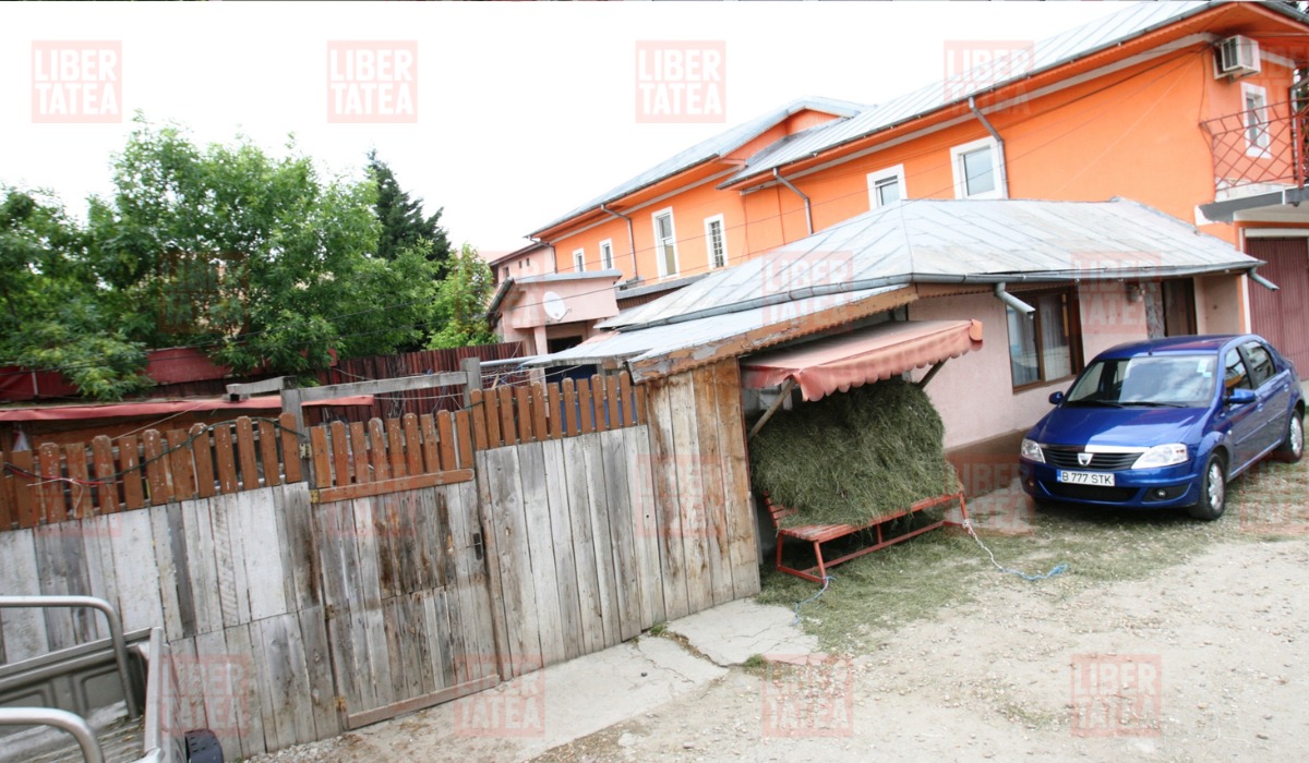 Acasă la Sile Cămătaru. Imagini rare cu vila din Ferentari care arată ca un palat