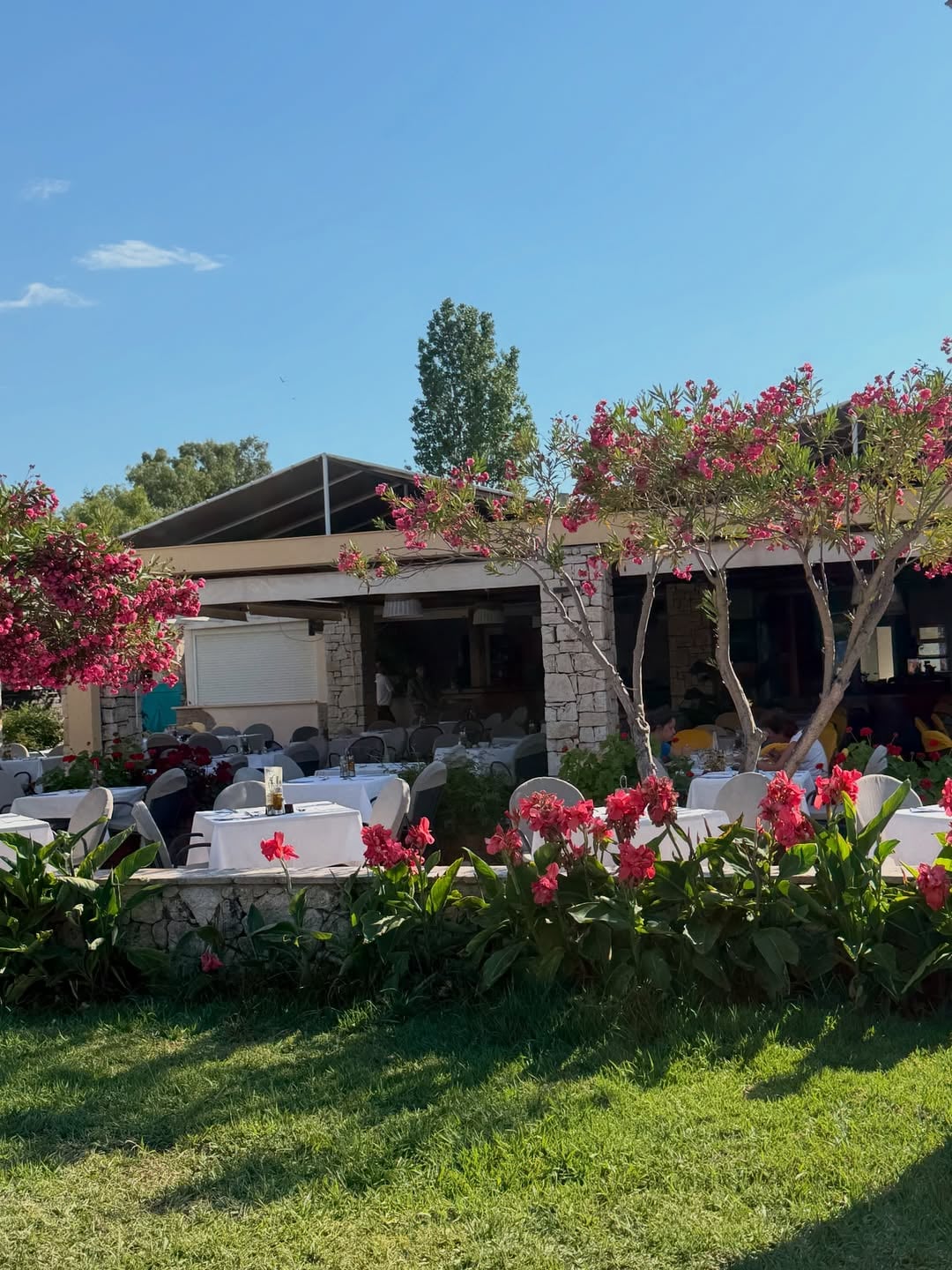 Vedetele din România care au ales Grecia pentru vacanța de vară. Imagini din destinațiile preferate