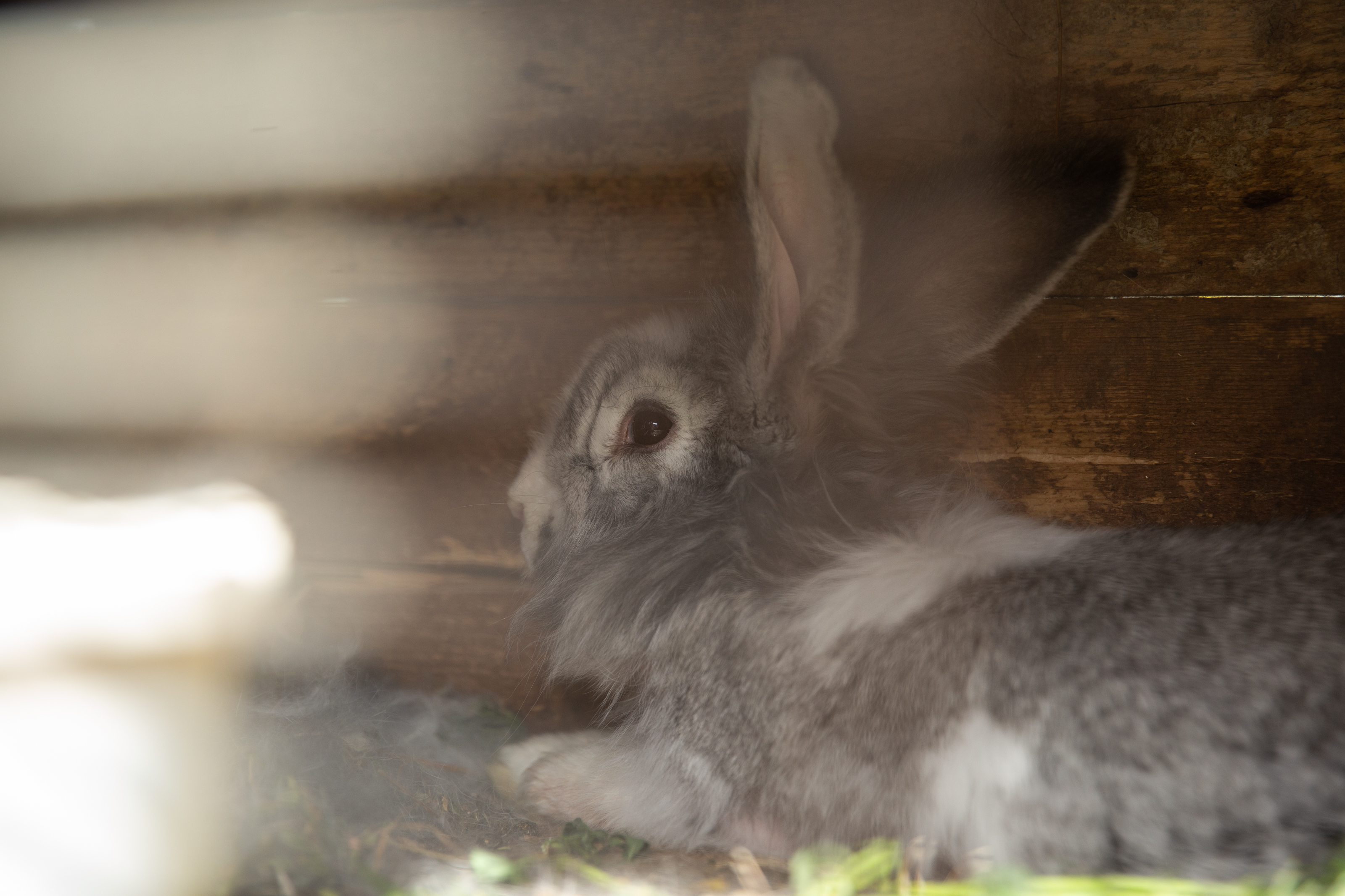 O familie din Dâmbovița crește cinci băieți într-o casă gata să cadă. În pandemie, școală face unul singur, de pe telefonul lu’ mami