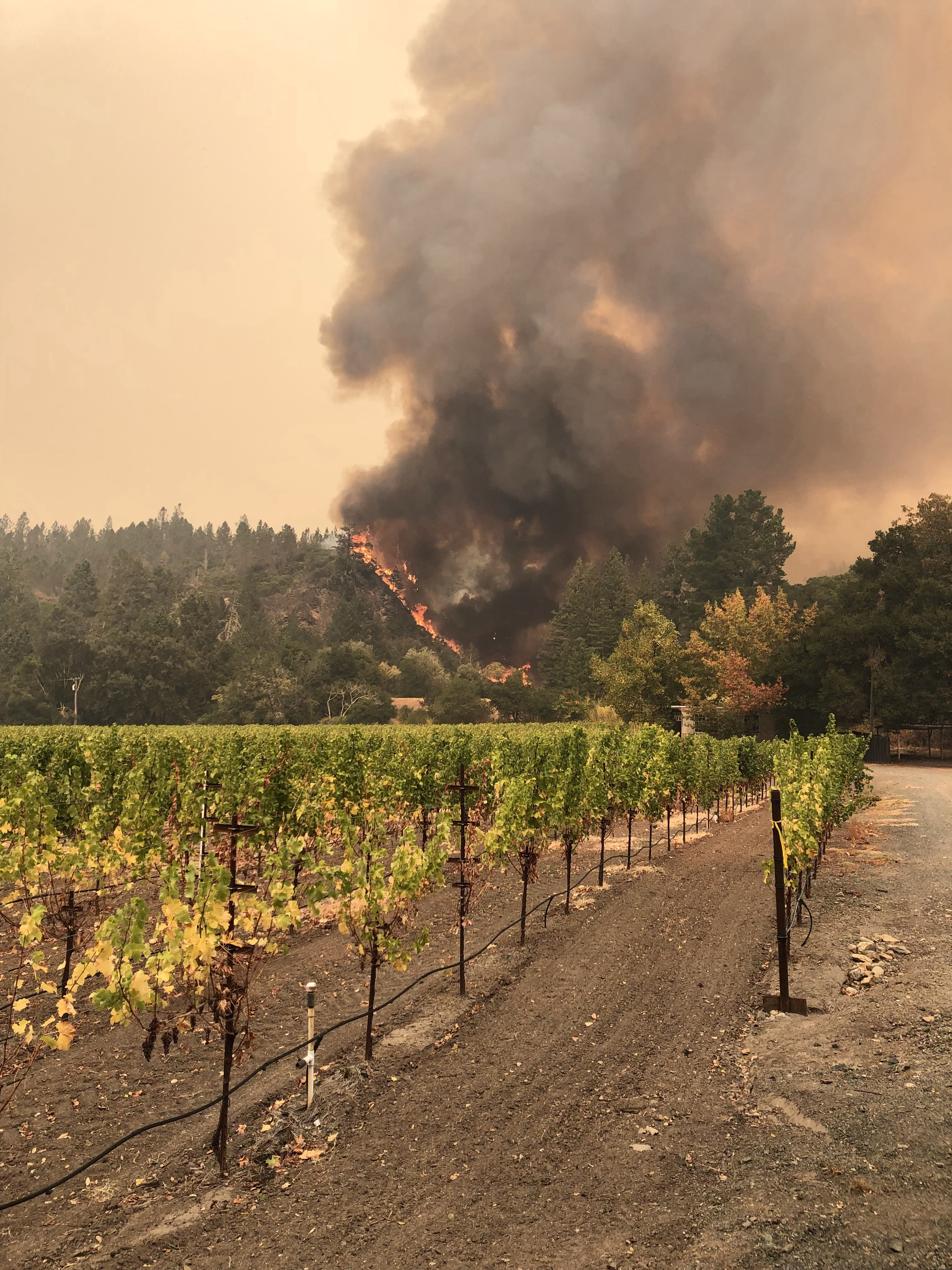 GALERIE FOTO| Incendii devastatoare în California. Cel puțin 23 de persoane au murit, mii de case și terenuri au fost distruse de foc